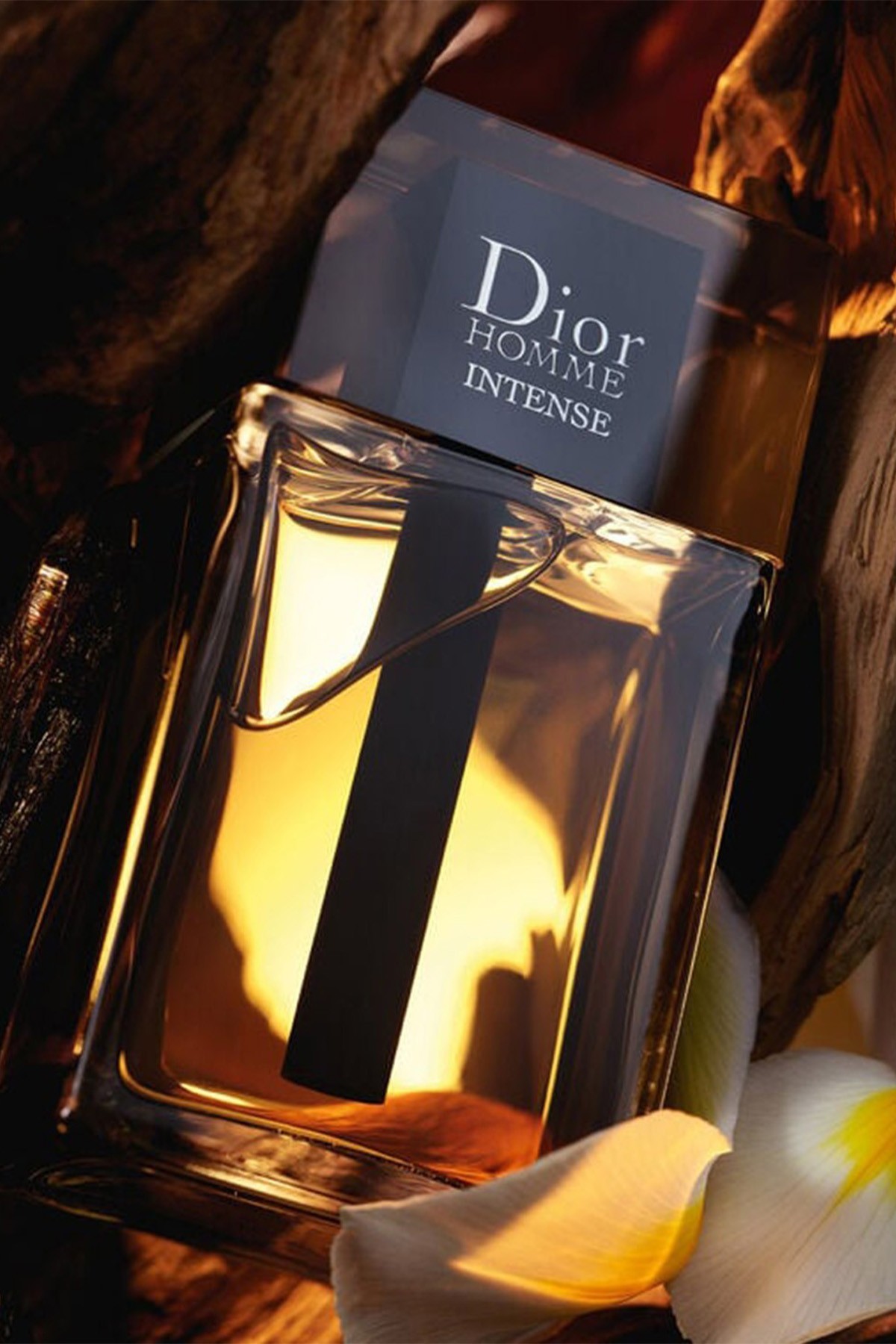 Dior Homme Intense EDP 100 ml Erkek Parfüm