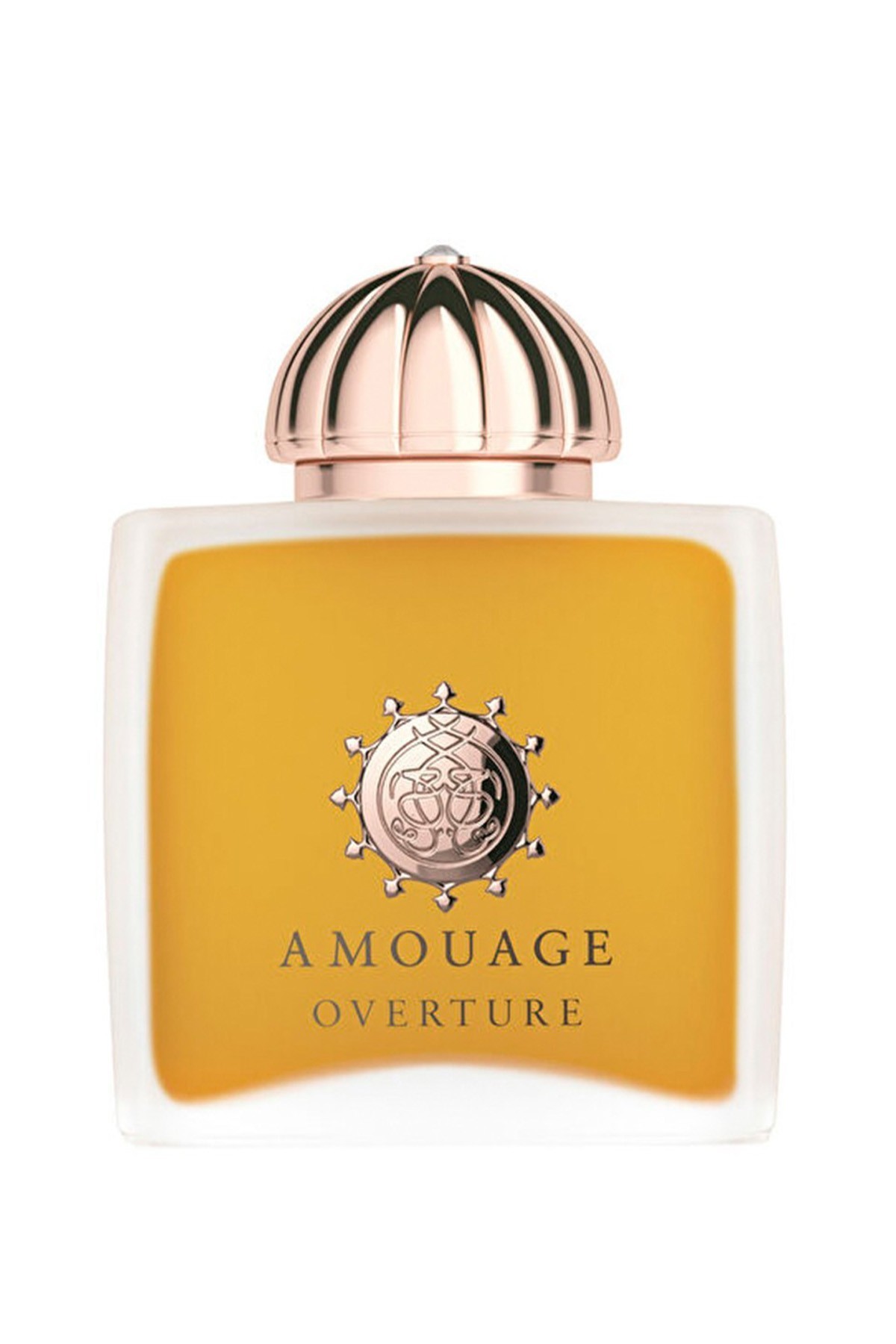 Amouage Overture EDP 100 ml Kadın Parfüm