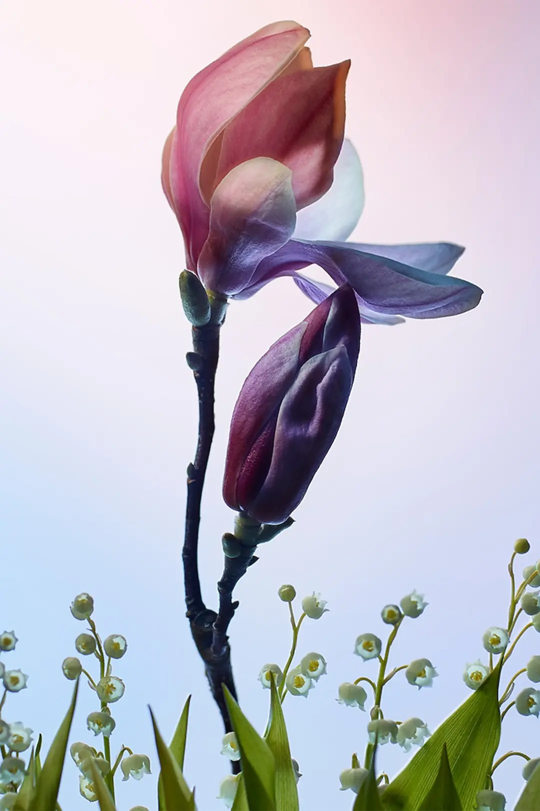 Louis Vuitton Apogée EDP 100 ml Kadın Parfüm - Wimjo