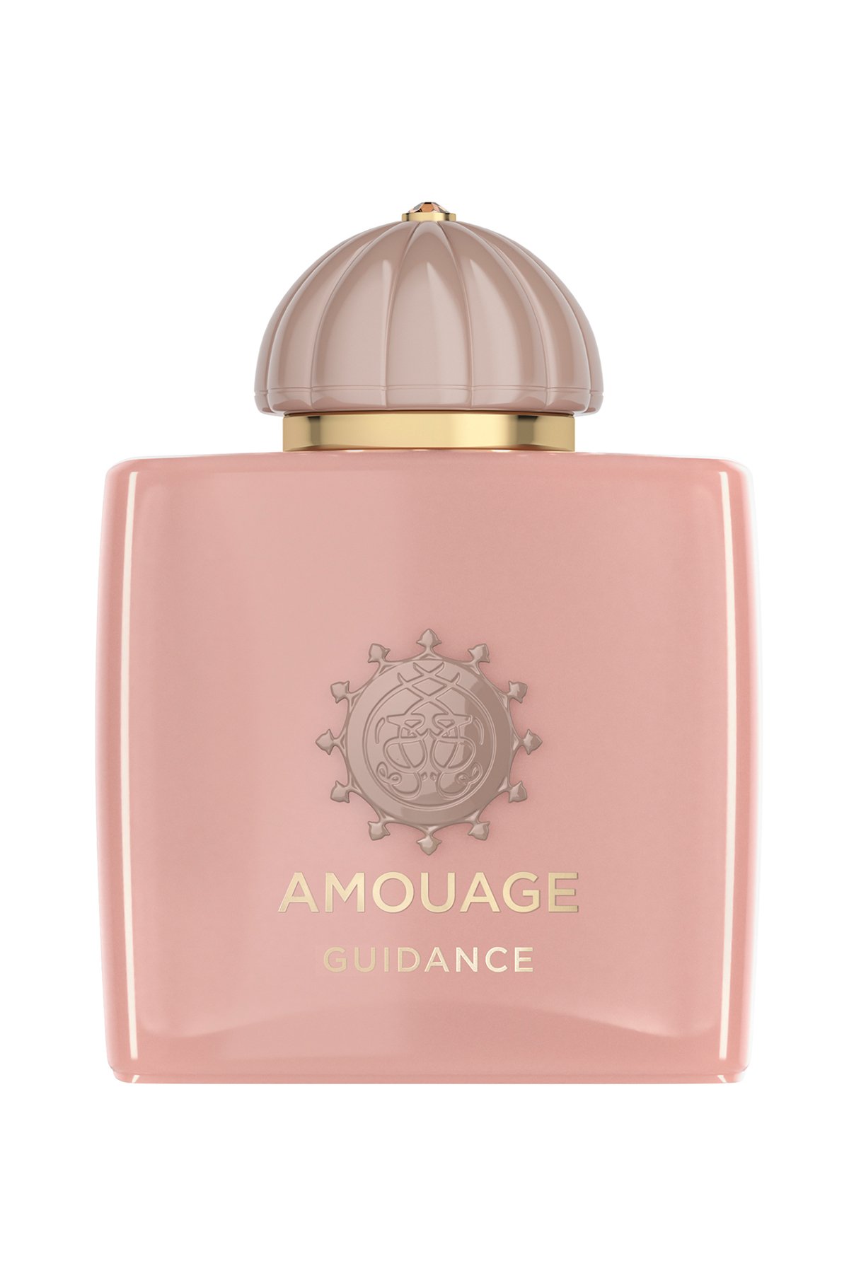 Amouage Guidance Edp 100 ml Erkek Parfüm 