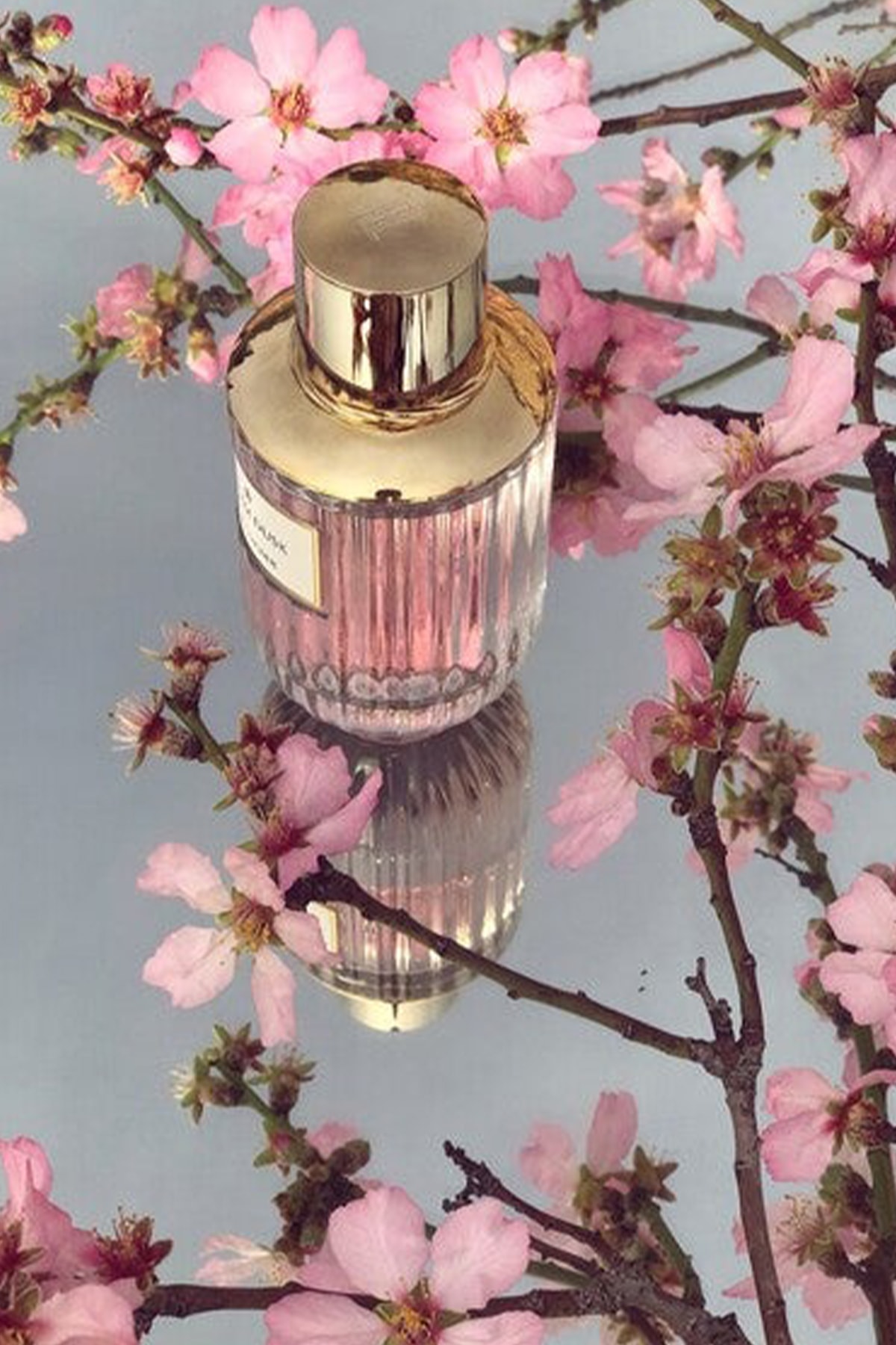 Estee Lauder Blushing Sands EDP 100 ml Parfüm