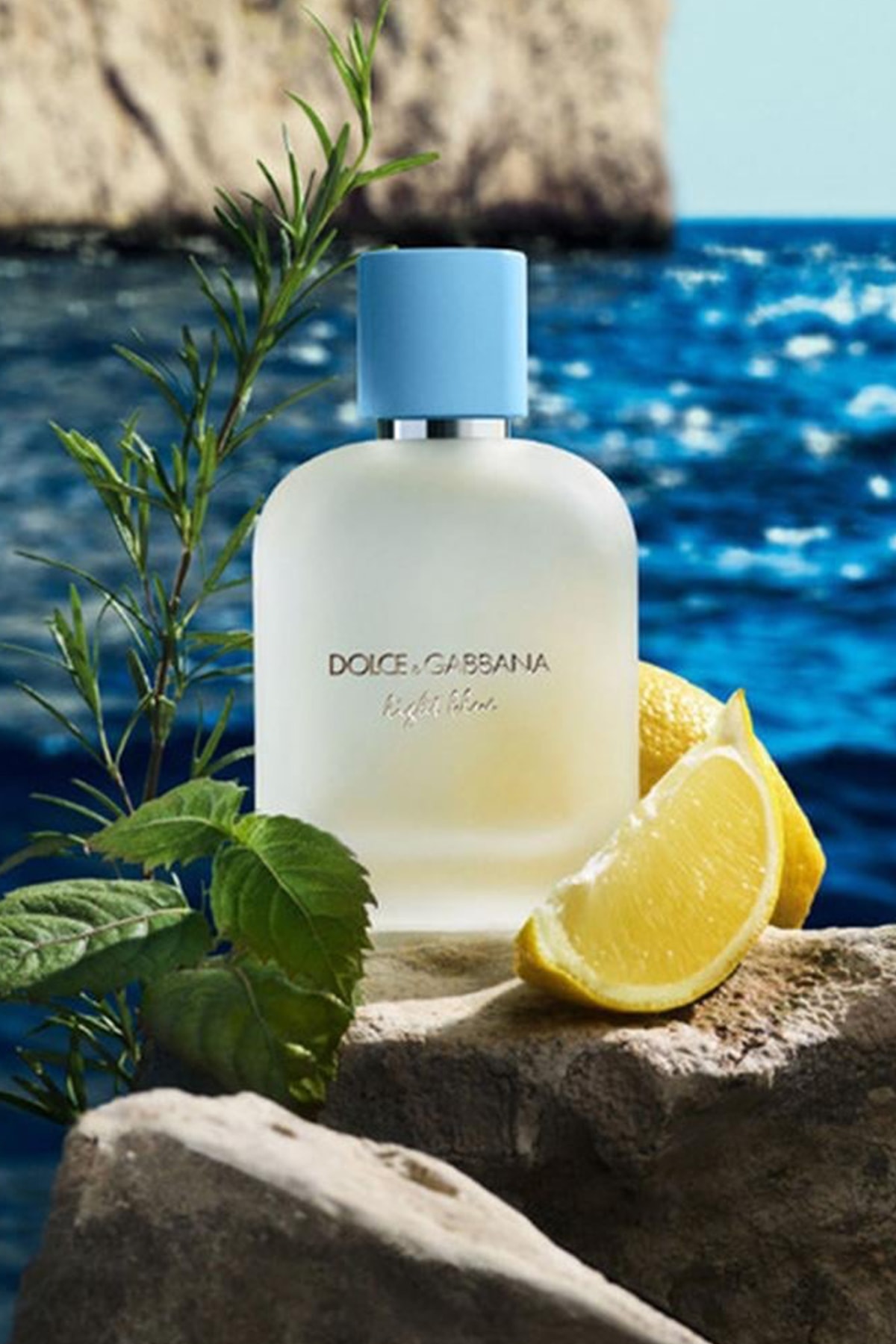 Dolce Gabbana Light Blue Male EDT 100 ml Erkek Parfüm