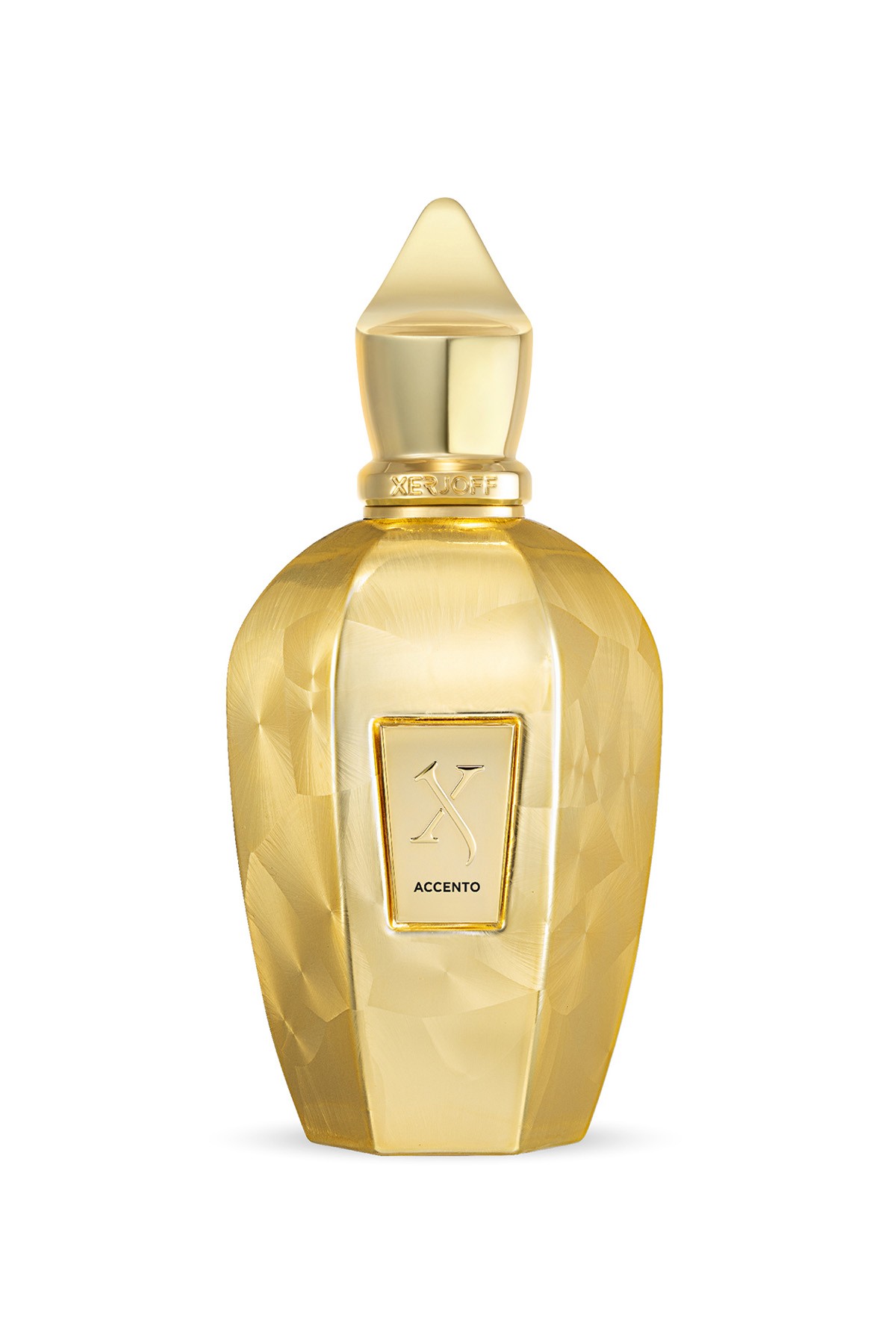 Xerjoff XJV Accento Overdose EDP 100 ml Unisex Parfüm