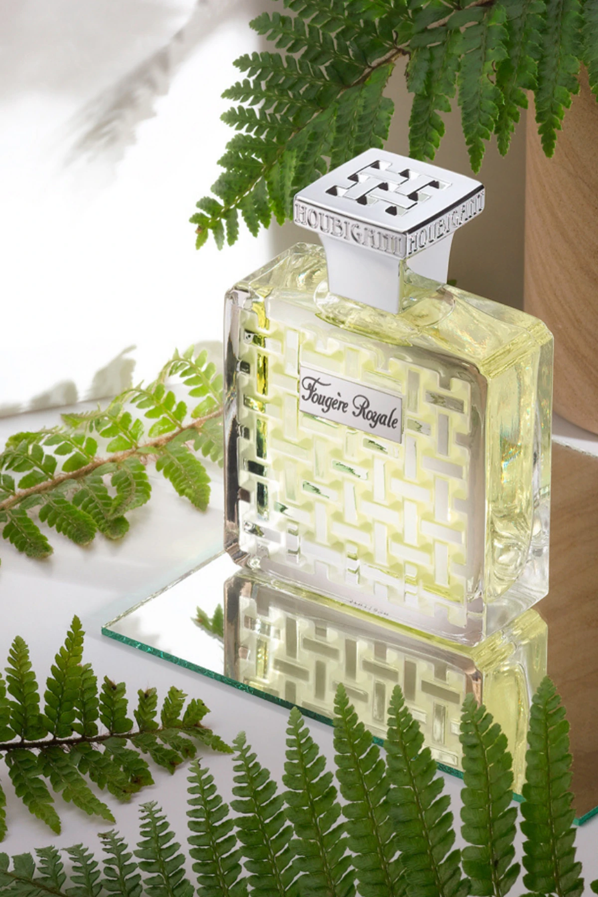 Houbigant Paris Fougere Royale EDP 100 ml Erkek Parfüm