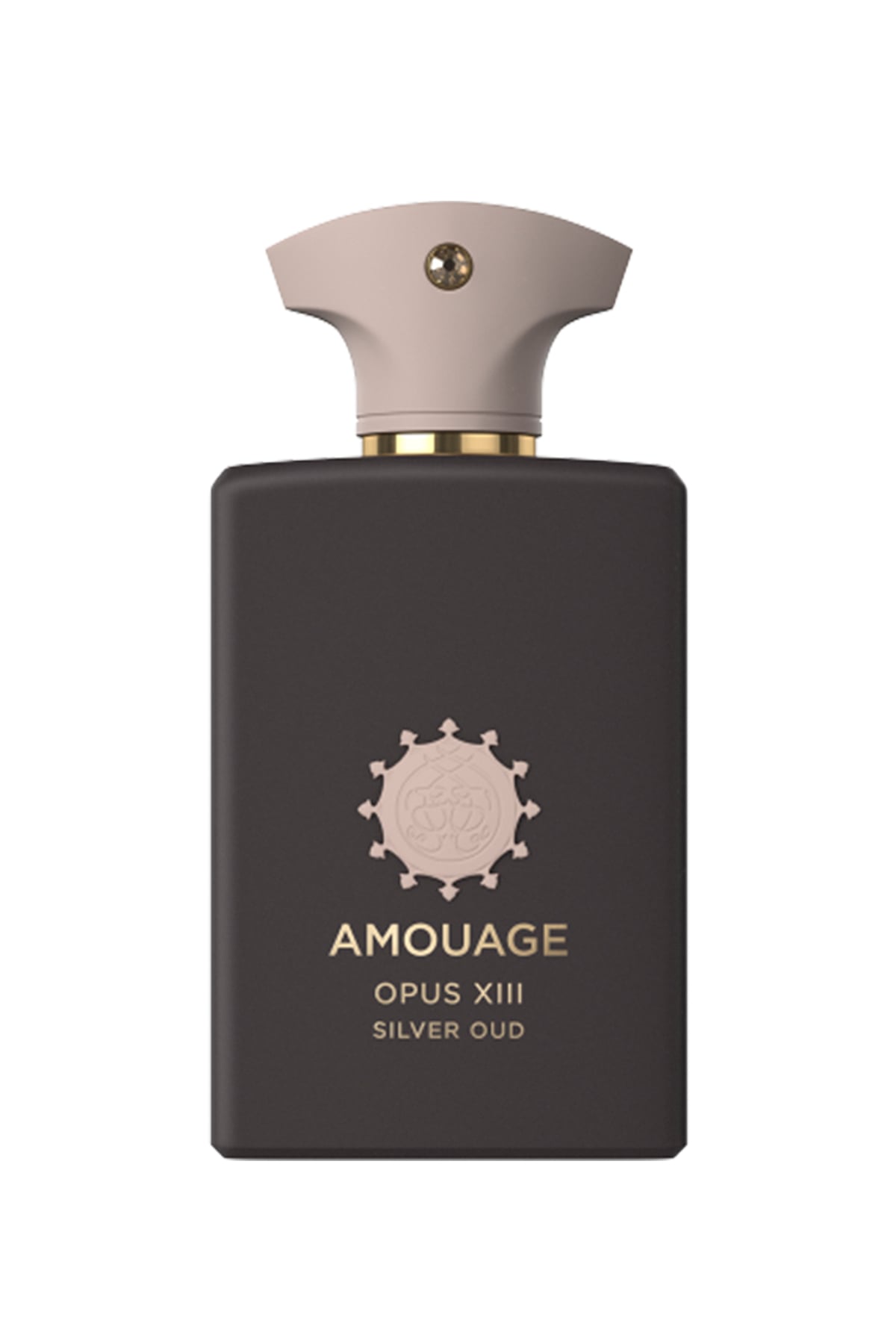 Amouage Opus XIII Silver Oud Edp 100 ml Parfüm