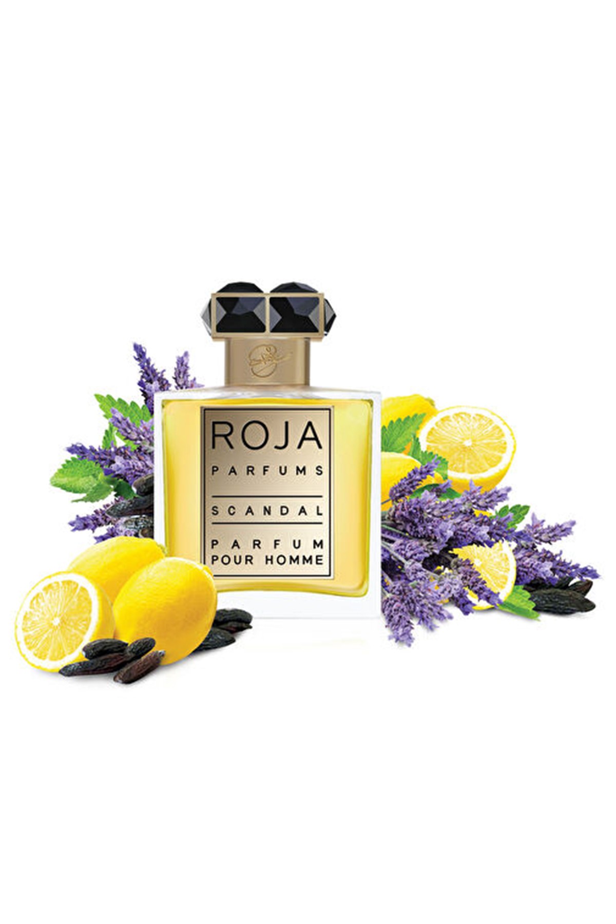 Roja Parfums Scandal Parfum Pour Homme 50 ml Erkek Parfüm