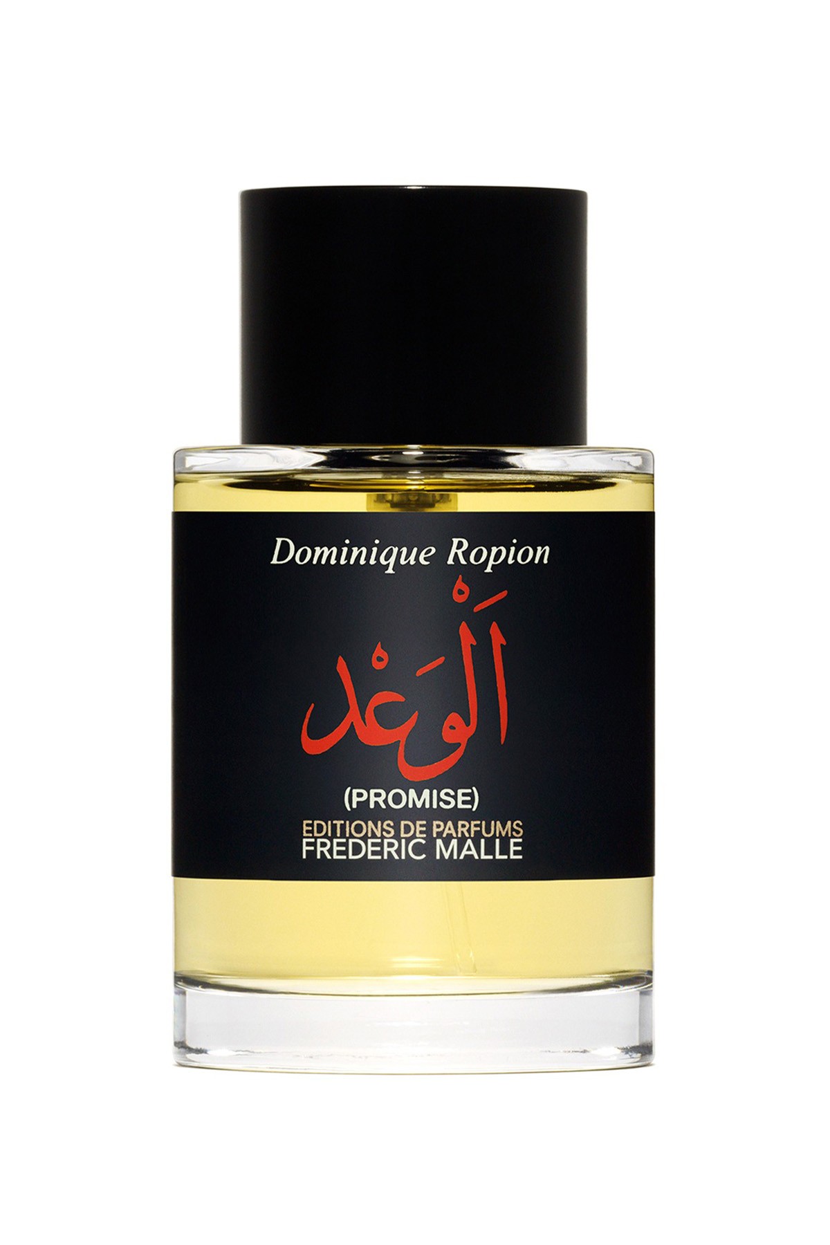 Frédéric Malle Promise EDP 100 ml Unisex Parfüm