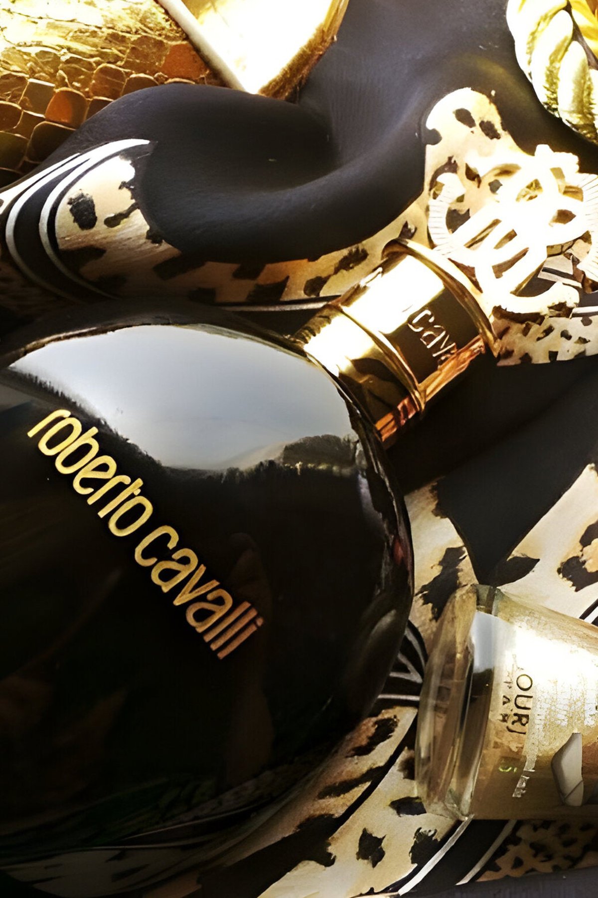 Roberto Cavalli Signature Nero Assoluto EDP 75 ml Kadın Parfüm