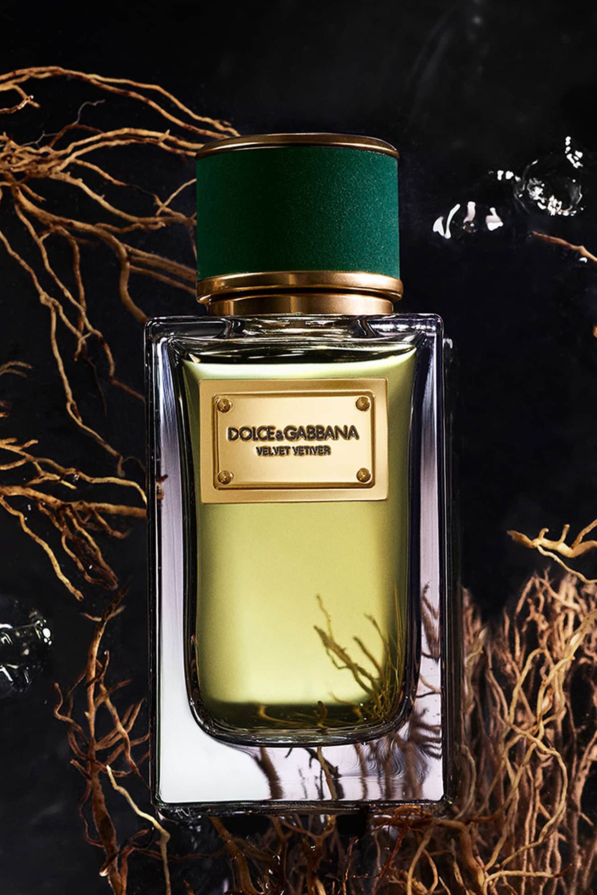 Dolce Gabbana Velvet Vetiver EDP 100 ml Unisex Parfüm
