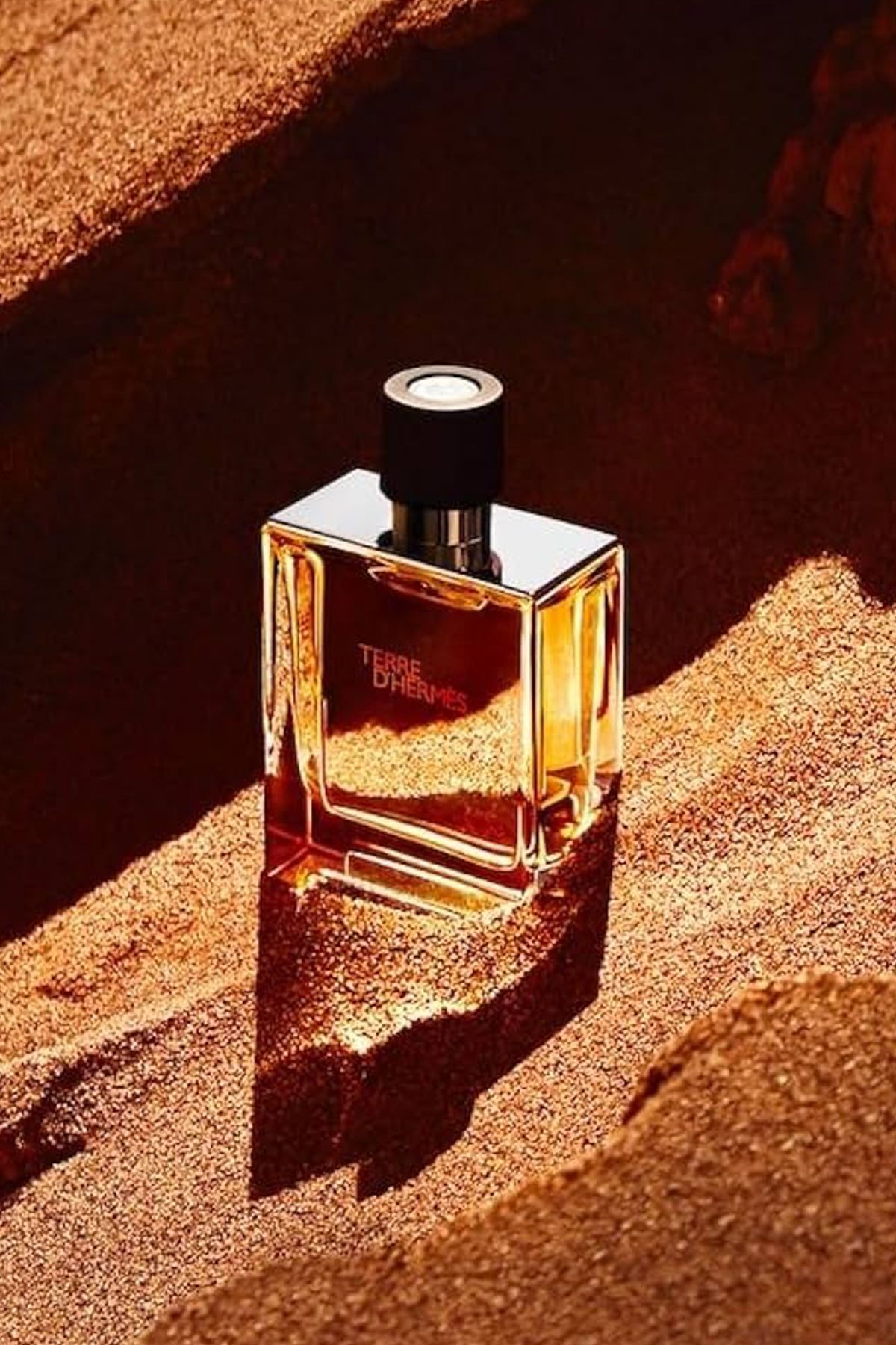 Hermes Terre d'Hermès Eau de Toilette 100 ml Erkek Parfüm