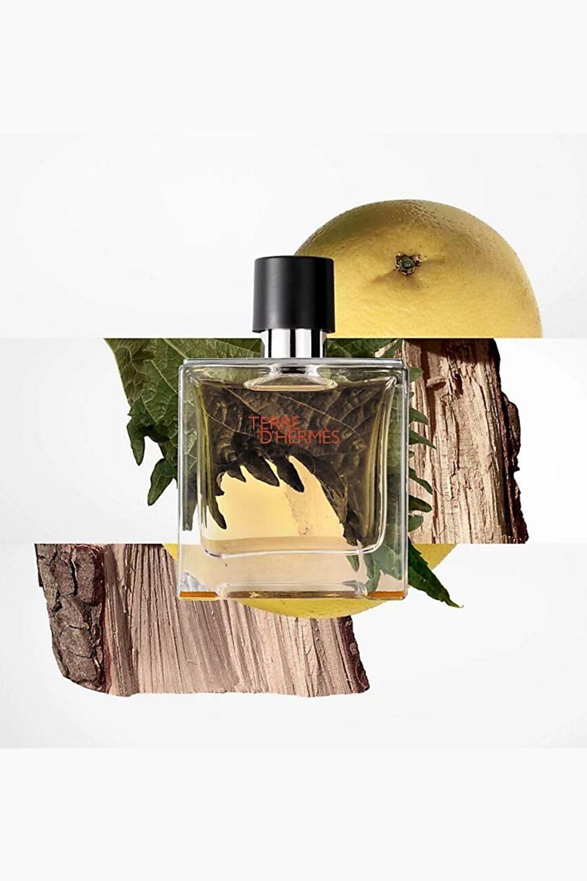 Hermes Terre d'Hermès Eau de Toilette 100 ml Erkek Parfüm