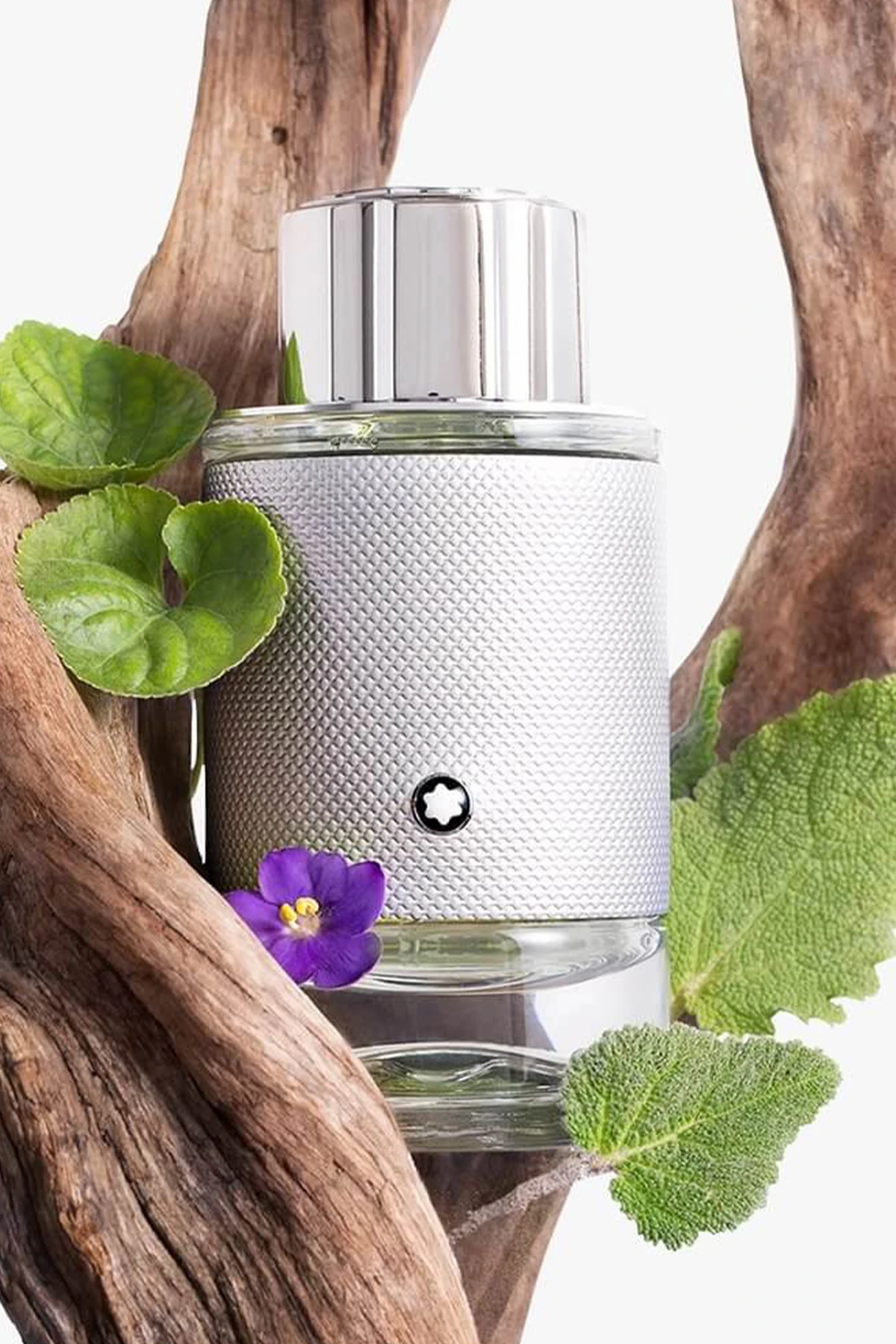 Montblanc Explorer Platinum EDP Erkek Parfüm - 60 ml