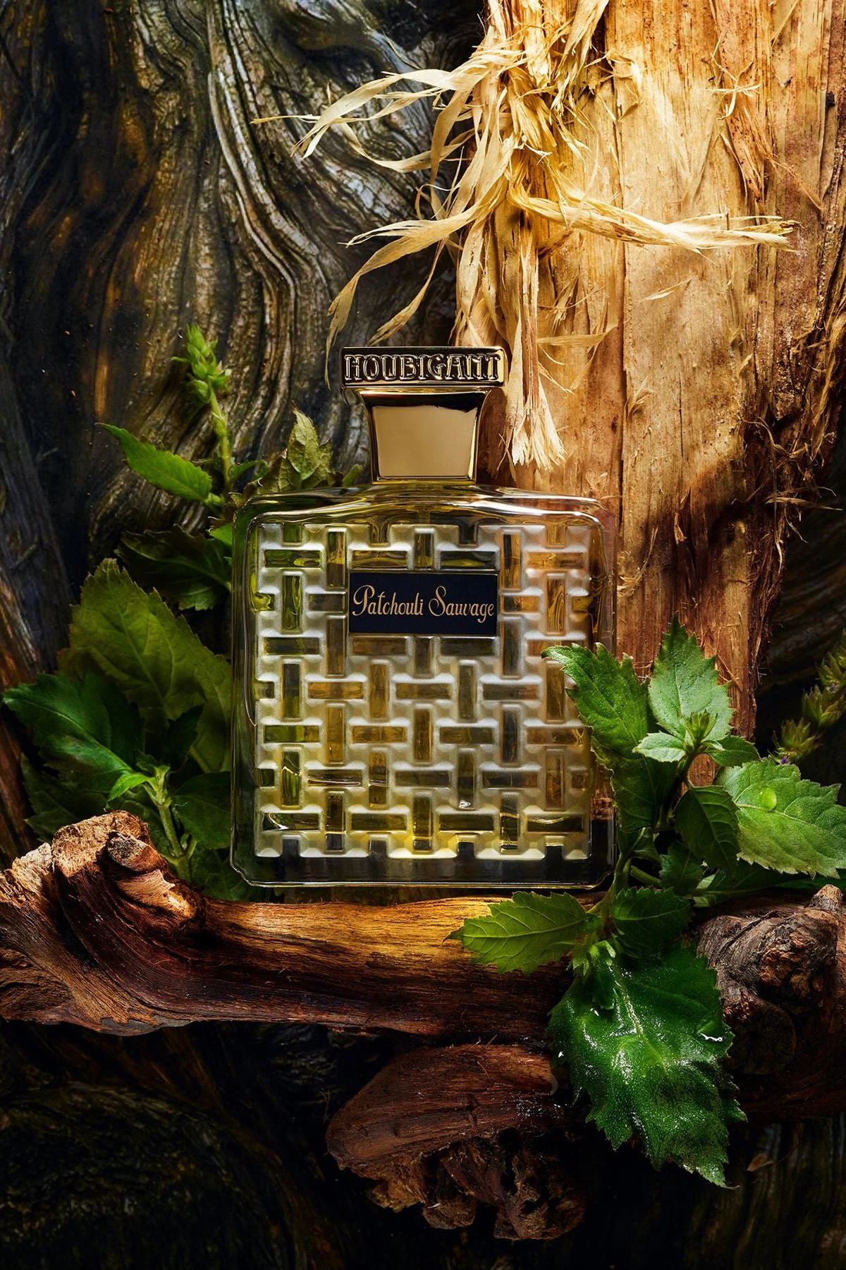 Houbigant Paris Pachouli Sauvage EDP 100 ml Erkek Parfüm