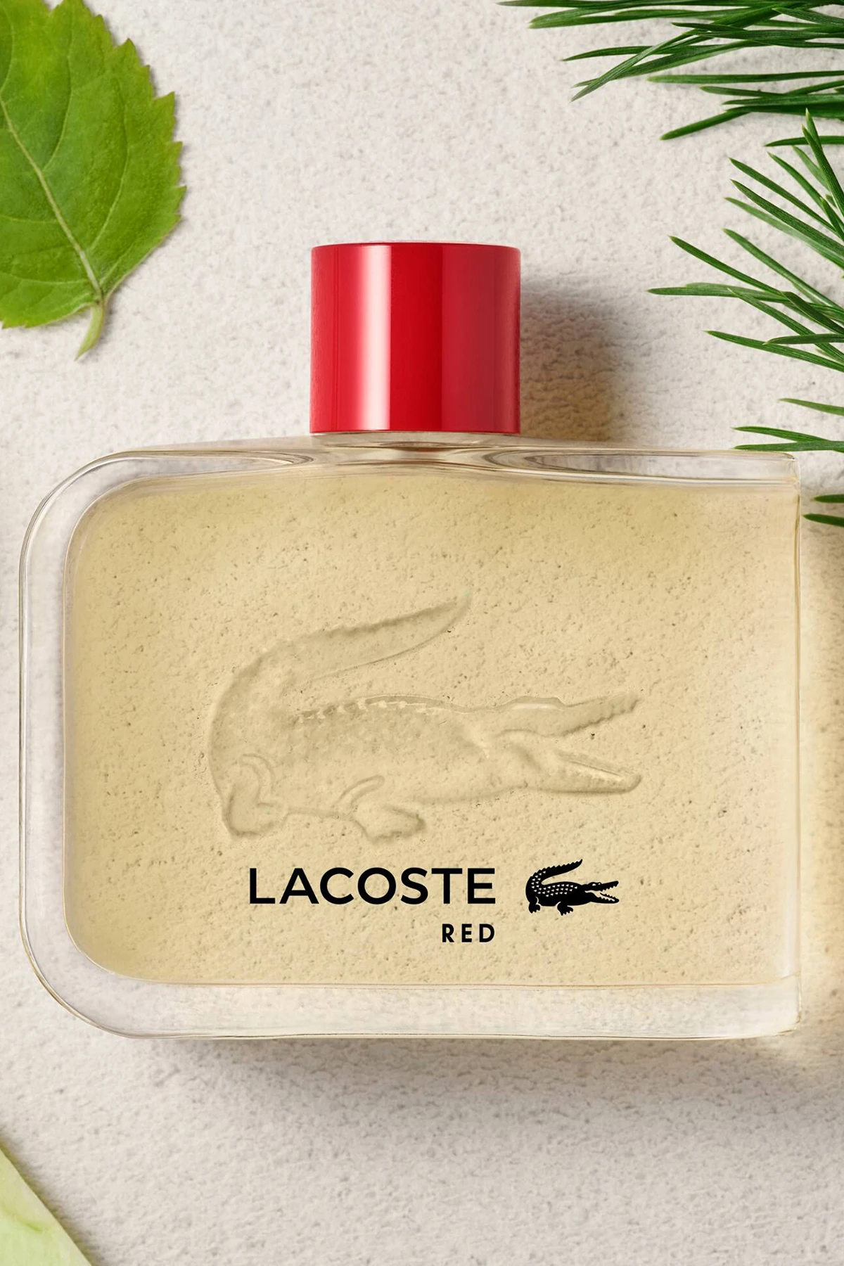 Lacoste Red Men 125 ml EDT Erkek Parfüm