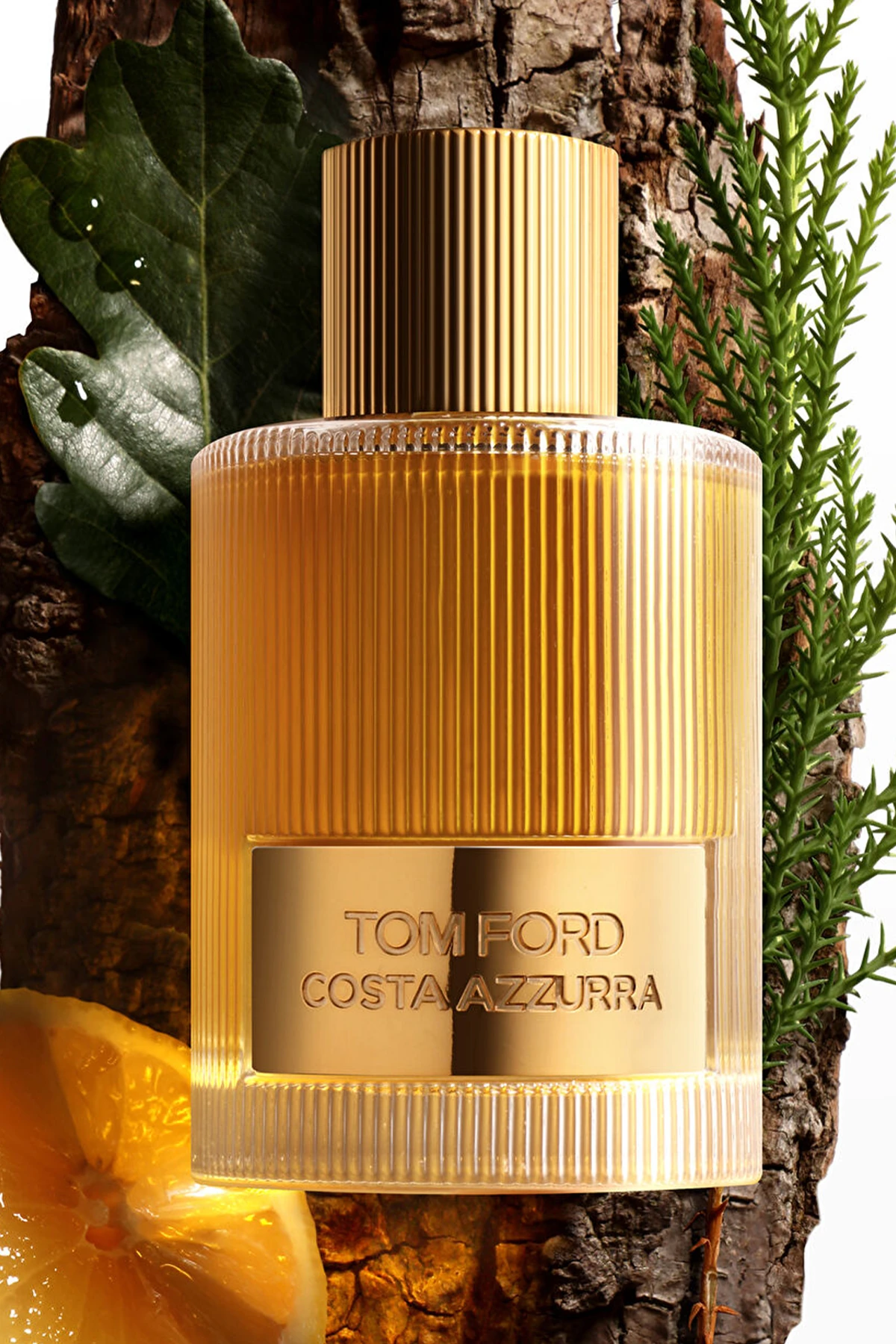Tom Ford Costa Azzura Parfüm 100 ml Erkek Parfümü
