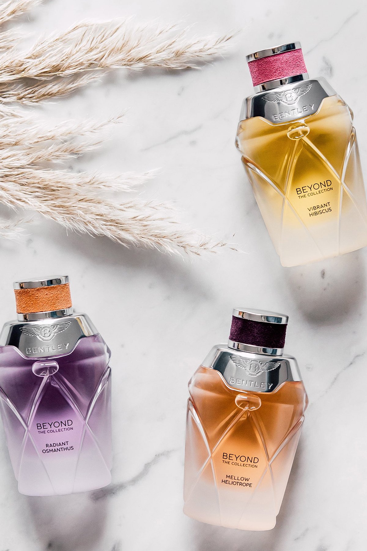 Bentley Mellow Heliotrope EDP 100 ml Kadın Parfümü