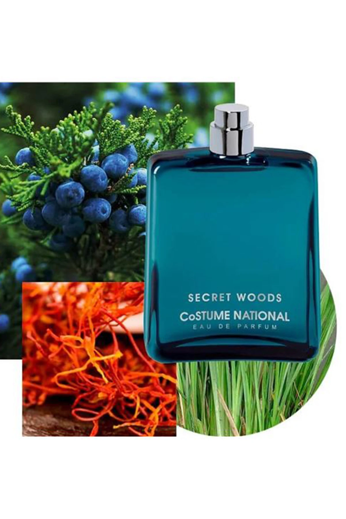 Costume National Secret Woods EDP 100 ml Erkek Parfüm