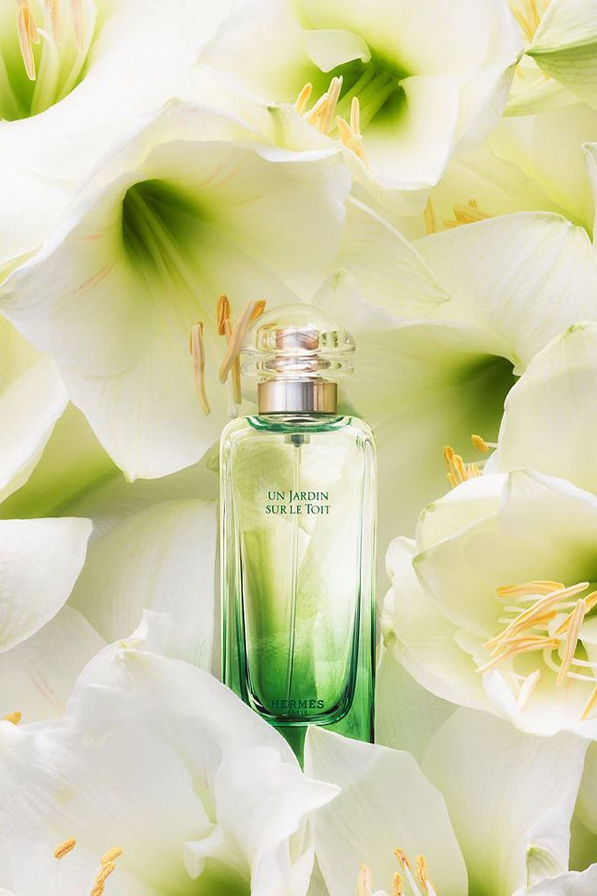 Hermes Un Jardin sur le Toit Eau de Toilette 100 ml