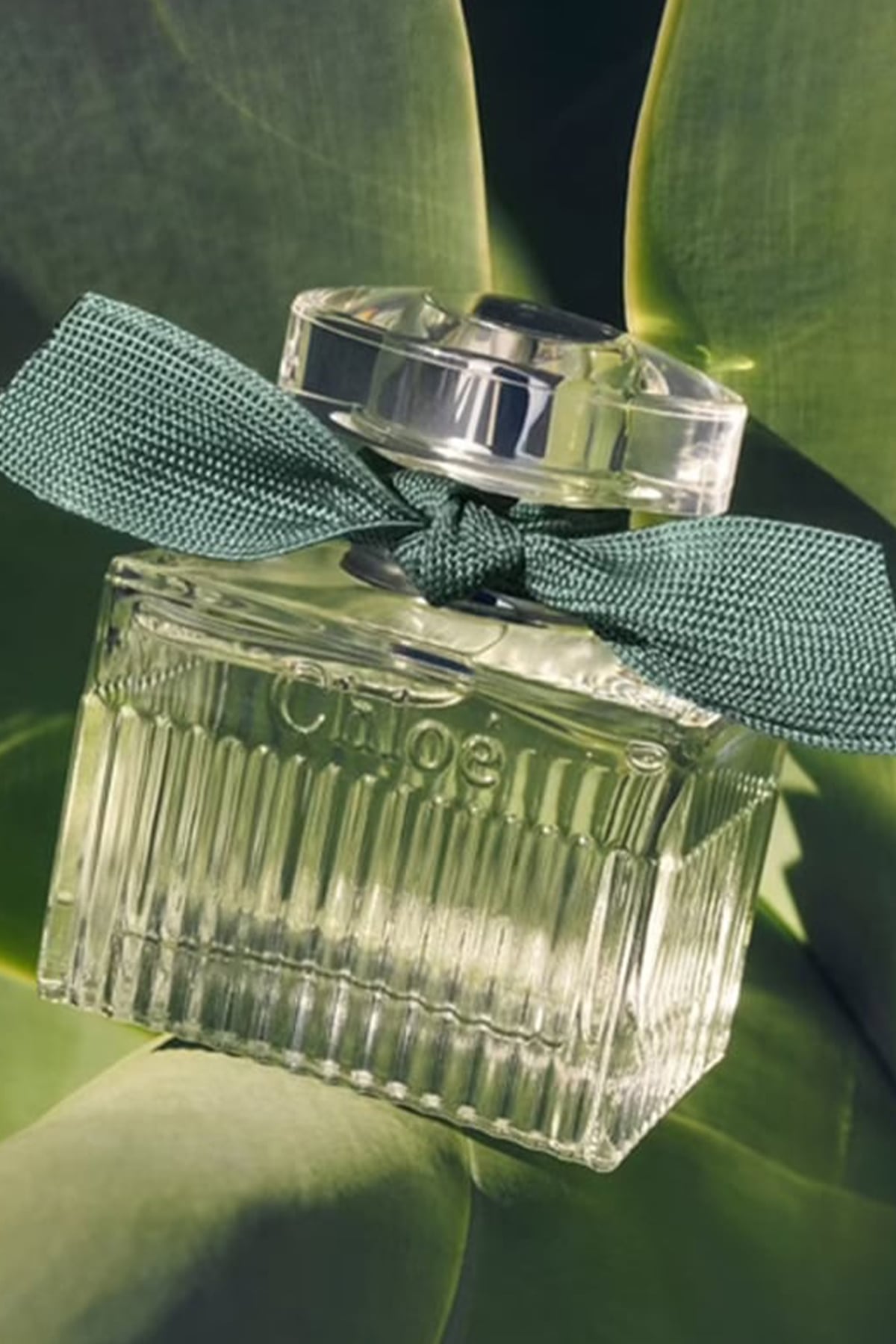 Chloe Signature Naturelle Edp Kadın Parfüm - 50 Ml