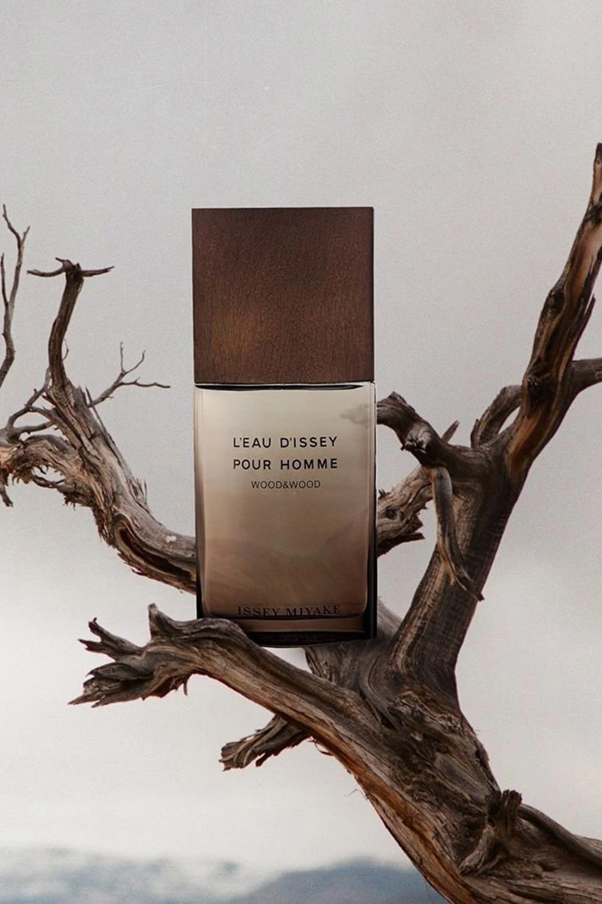 Issey Miyake Wood & Wood Men EDP Erkek Parfüm - 100 ml