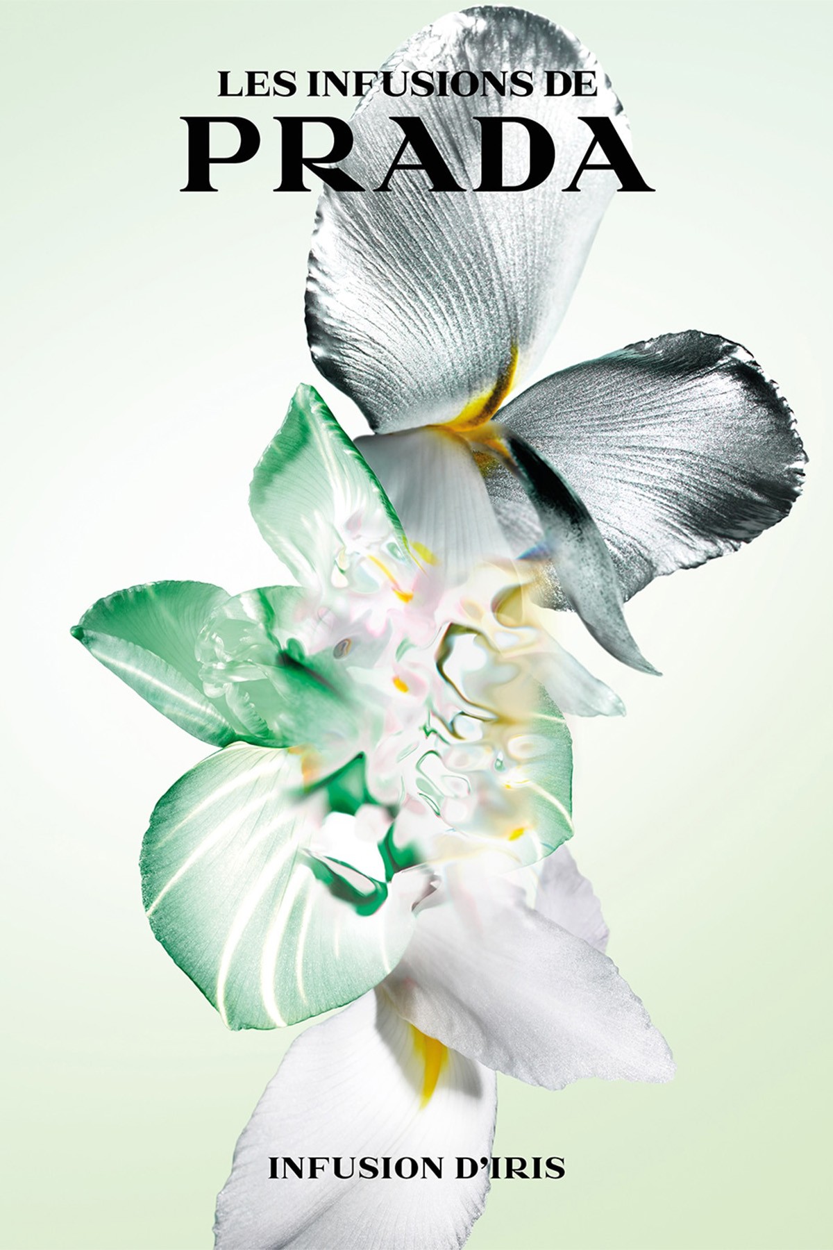 Prada Infusion d'Iris EDP 100 ml Kadın Parfüm