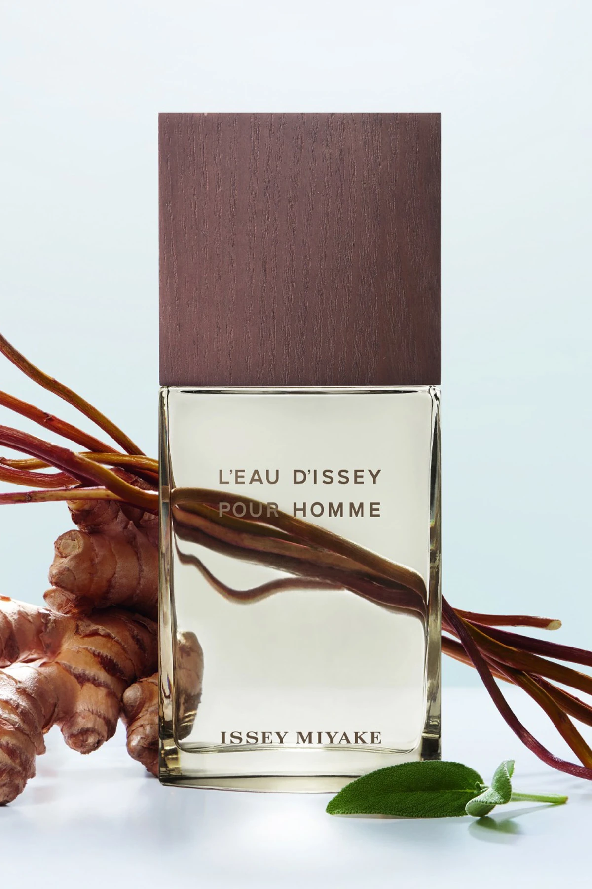 Issey Miyake Pour Homme Vetiver Intense EDT 100 ml Parfüm
