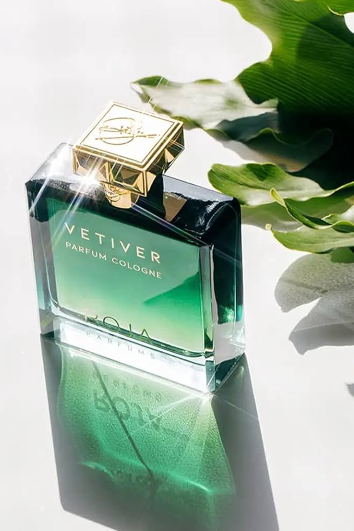 Roja Parfums Vetiver Pour Homme Parfum Cologne 100 ml Erkek Parfüm