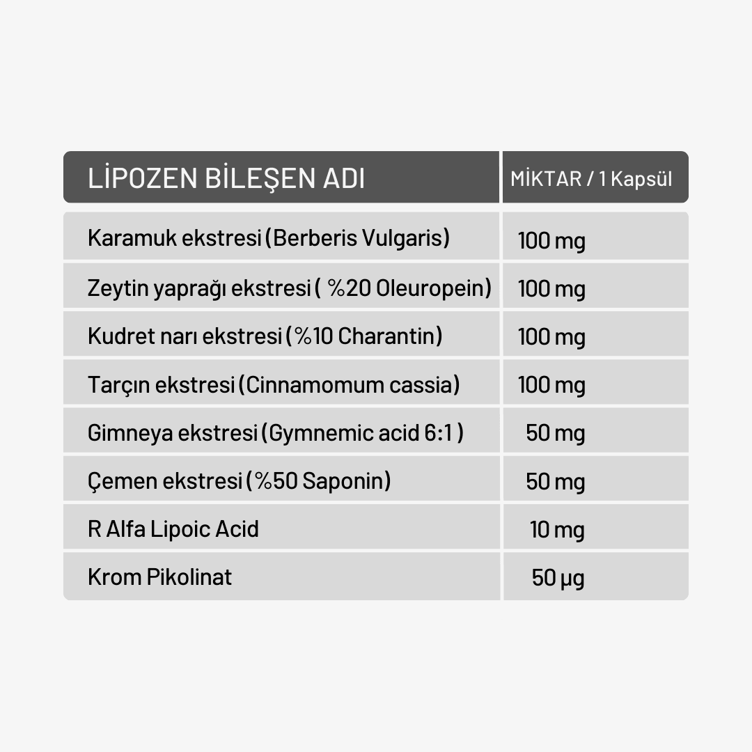 LİPOZEN