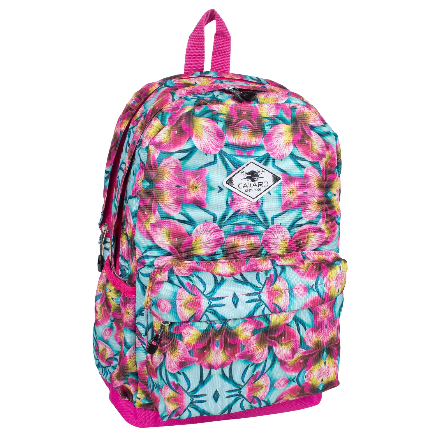 Bagacar Cakard 20105 Kız Okul Sırt Çantası Pembe Mavi