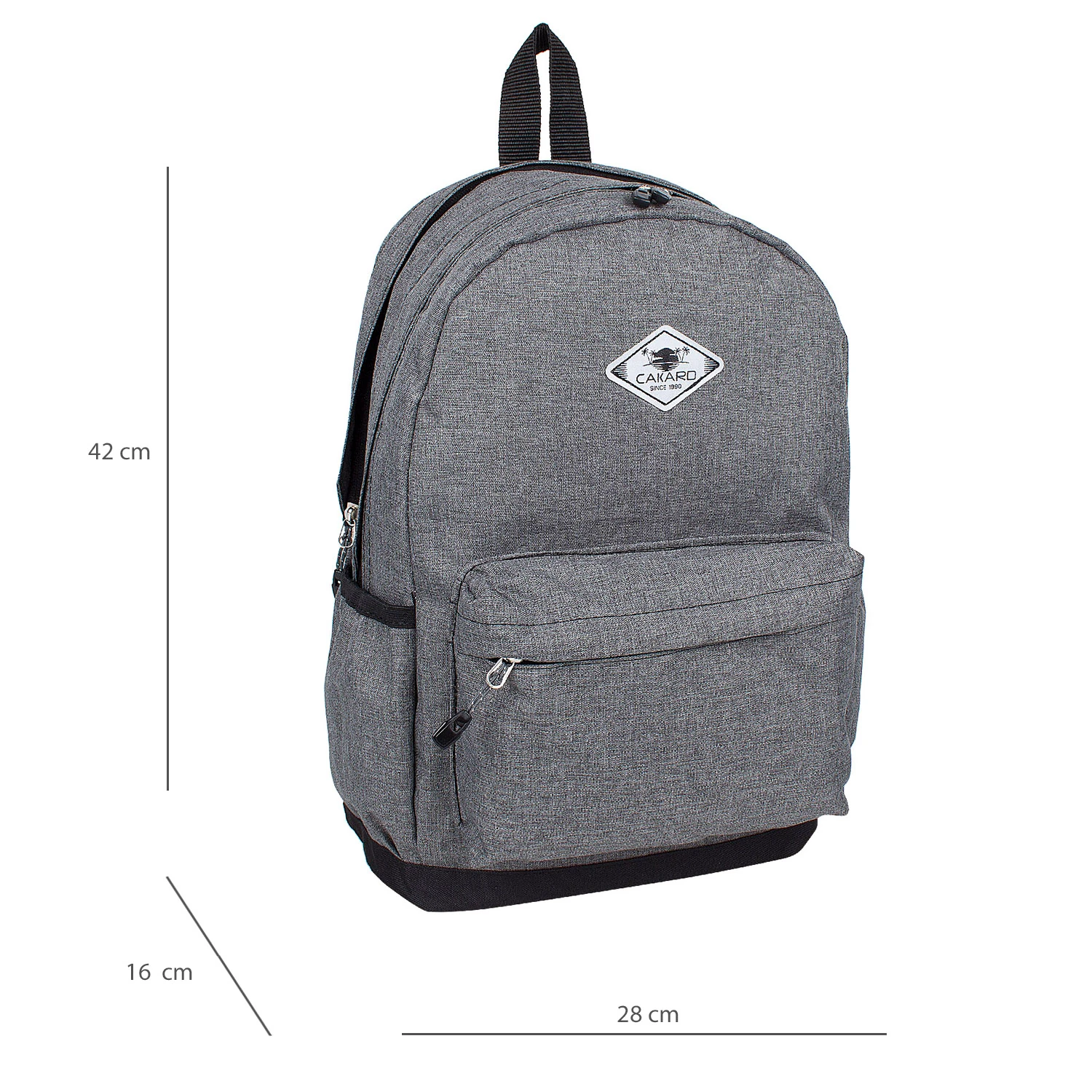 Bagacar Cakard 20105 Erkek Okul Sırt Çantası Gri