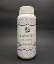 Lavanta