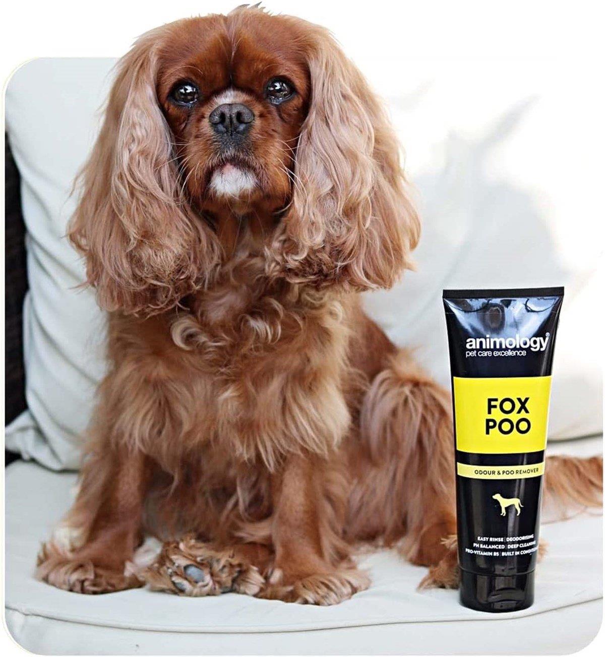Animology Fox Poo Shampoo Kötü Koku Giderici Köpek Şampuanı 250 ML.