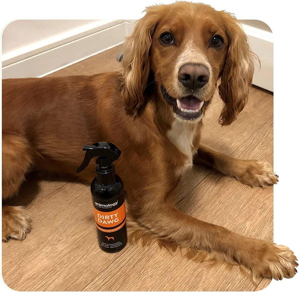 Animology Dirty Dawg No Rinse Shampoo Durulamasız Köpek Şampuanı 250 ML.