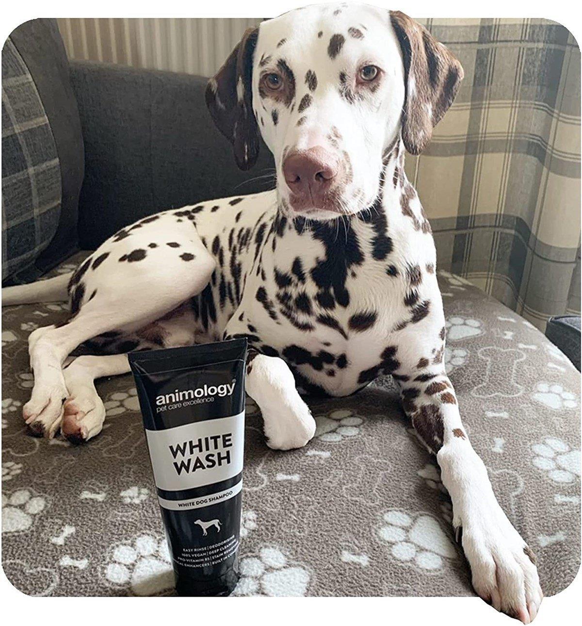 Animology White Wash Shampoo Beyaz Tüylü Köpek Şampuanı 250 ML.