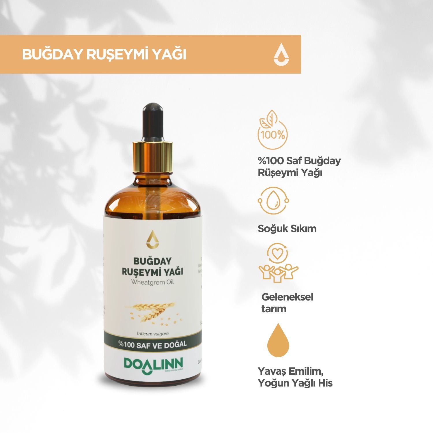 Buğday Rüşeymi Yağı (Triticum vulgare) 100 ml.