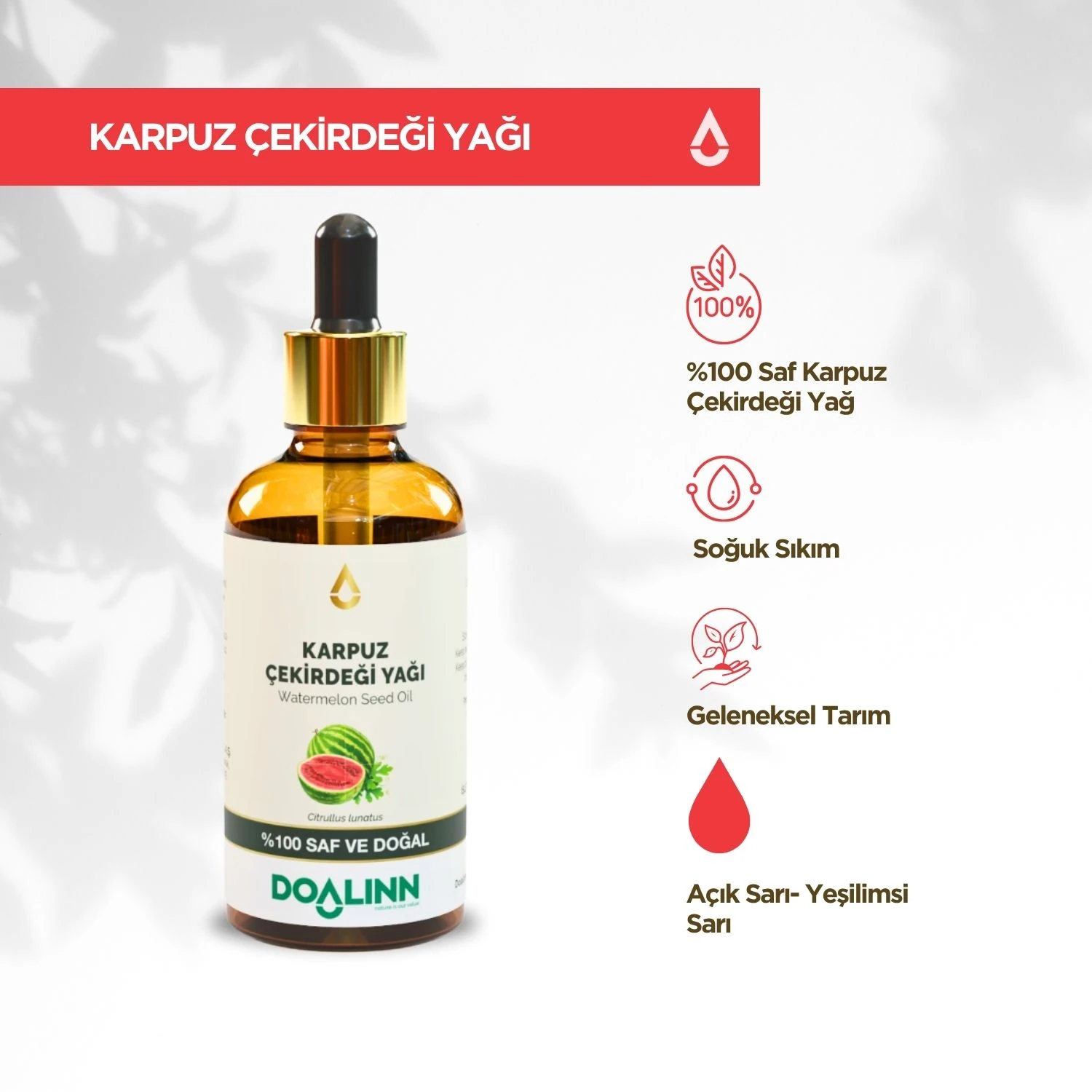 Karpuz Çekirdeği Yağı (Citrullus lunatus)