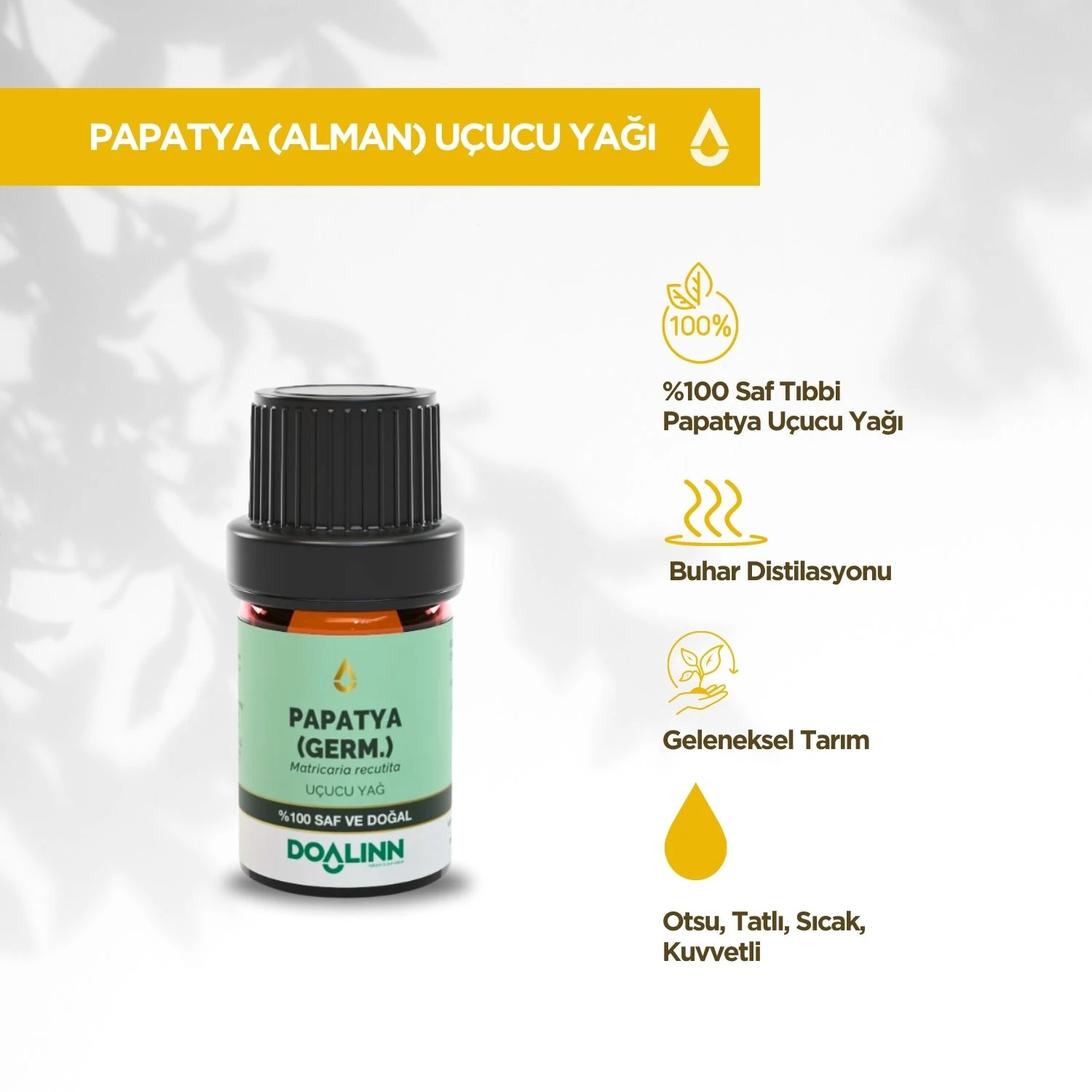 Papatya (Alman) Uçucu Yağı (Matricaria recutita)