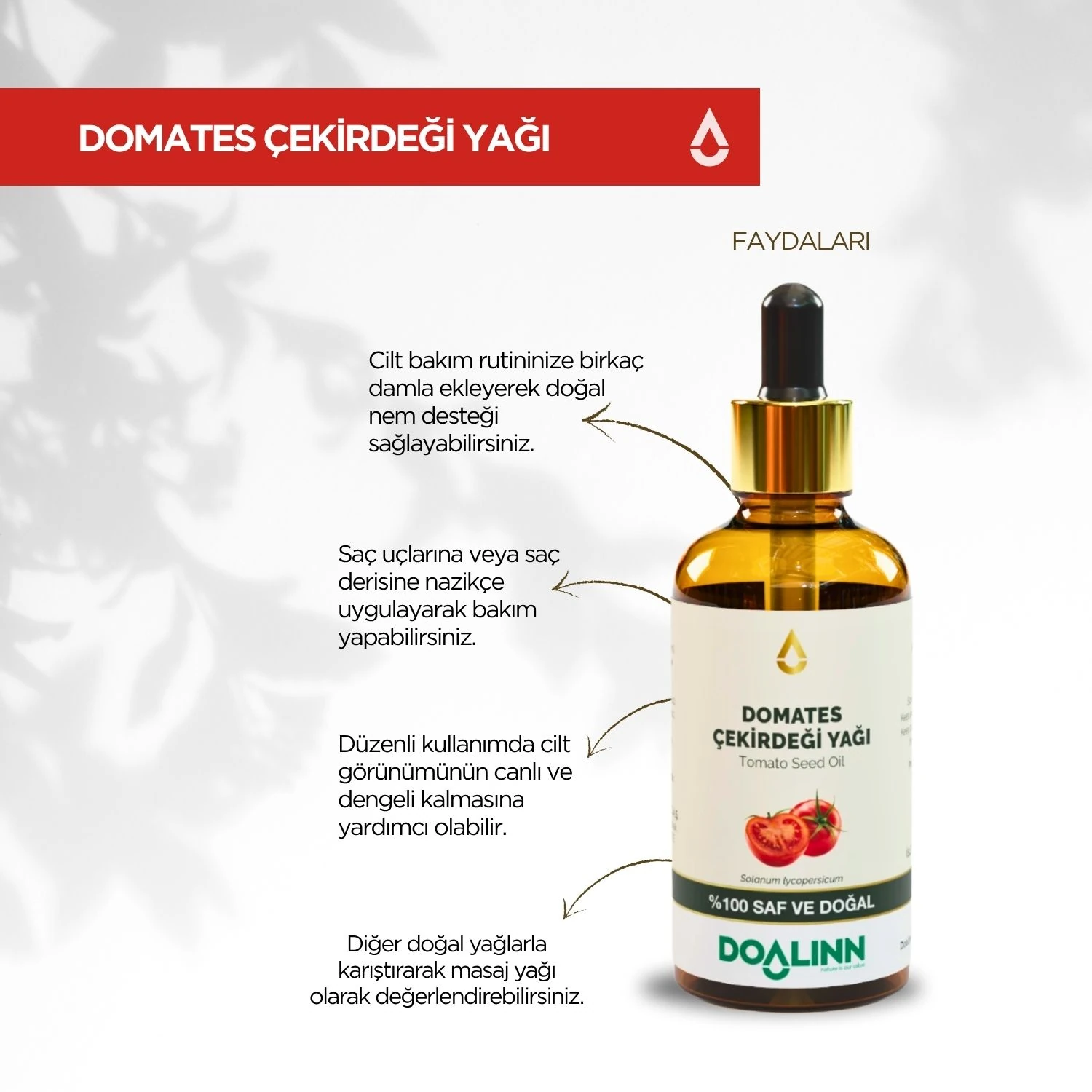 Domates Çekirdeği Yağı (Solanum lycopersicum)