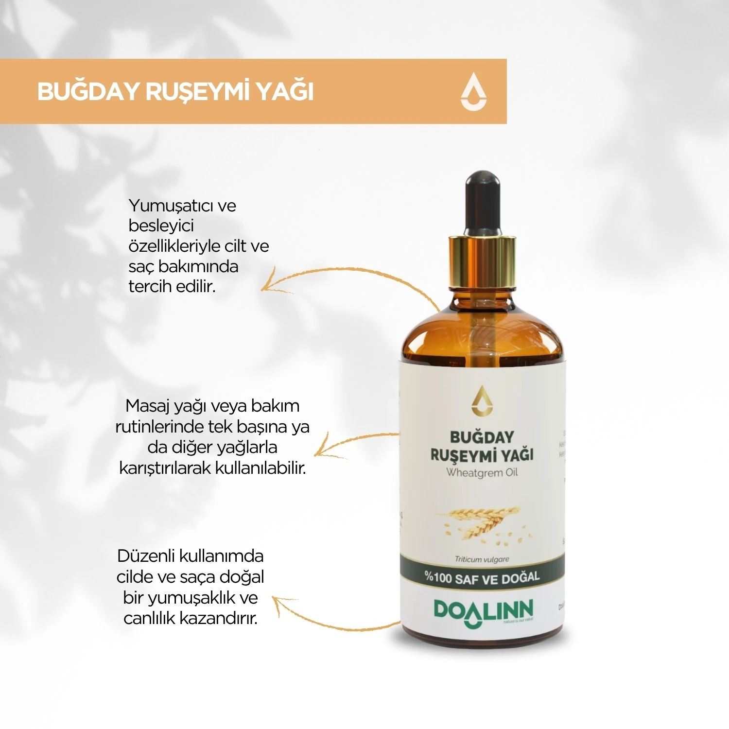 Buğday Rüşeymi Yağı (Triticum vulgare) 100 ml.