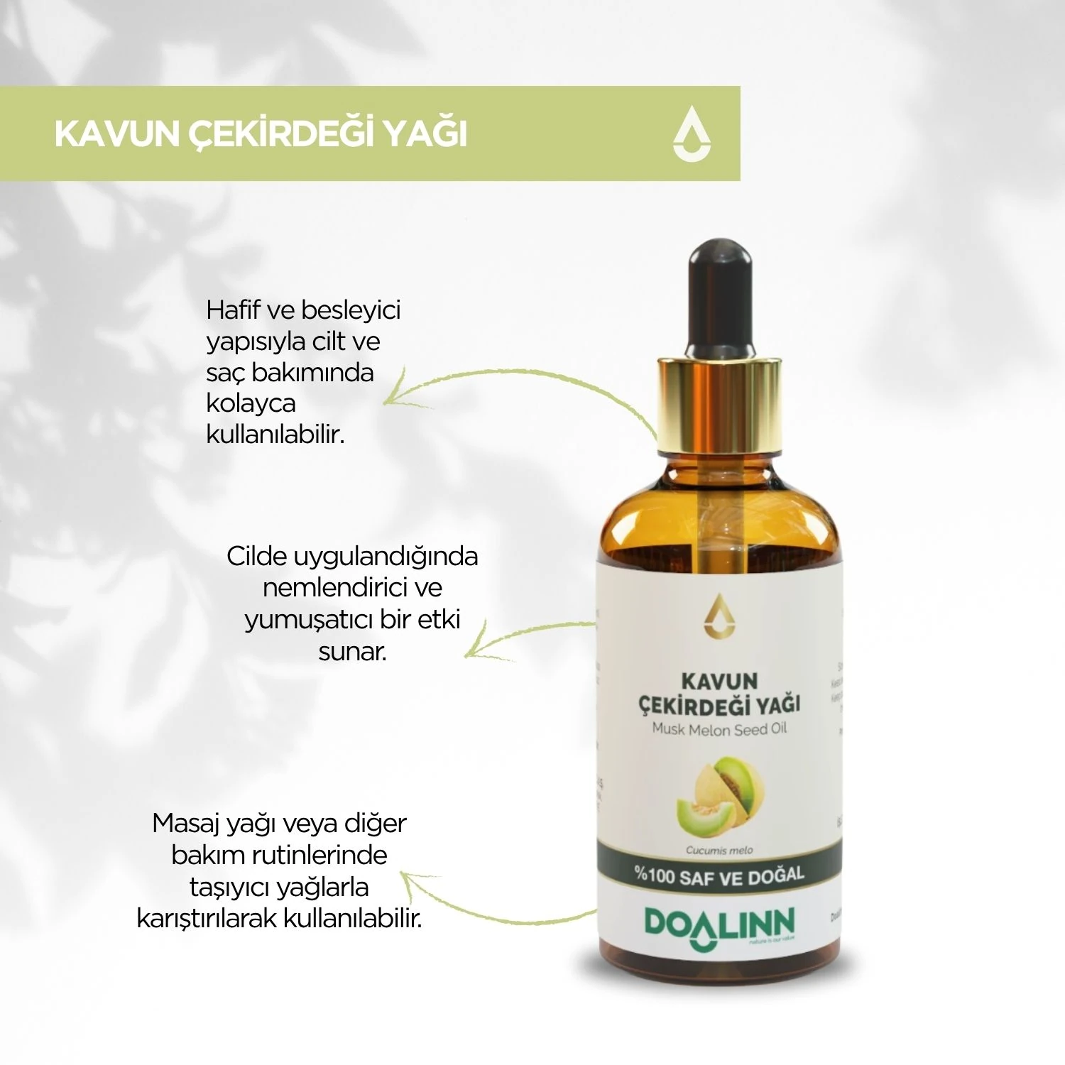 Kavun Çekirdeği Yağı (Cucumis melo)