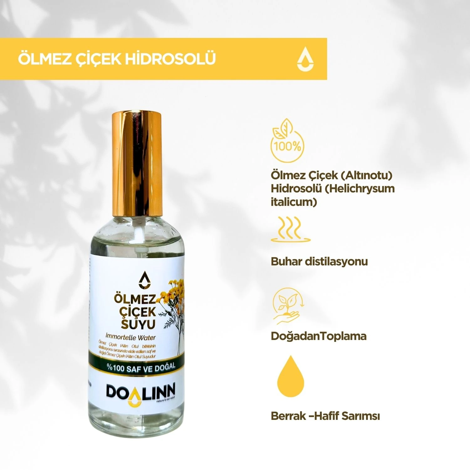 Ölmez Çiçek (Altınotu) Hidrosolü (Helichrysum italicum) 100 ml.