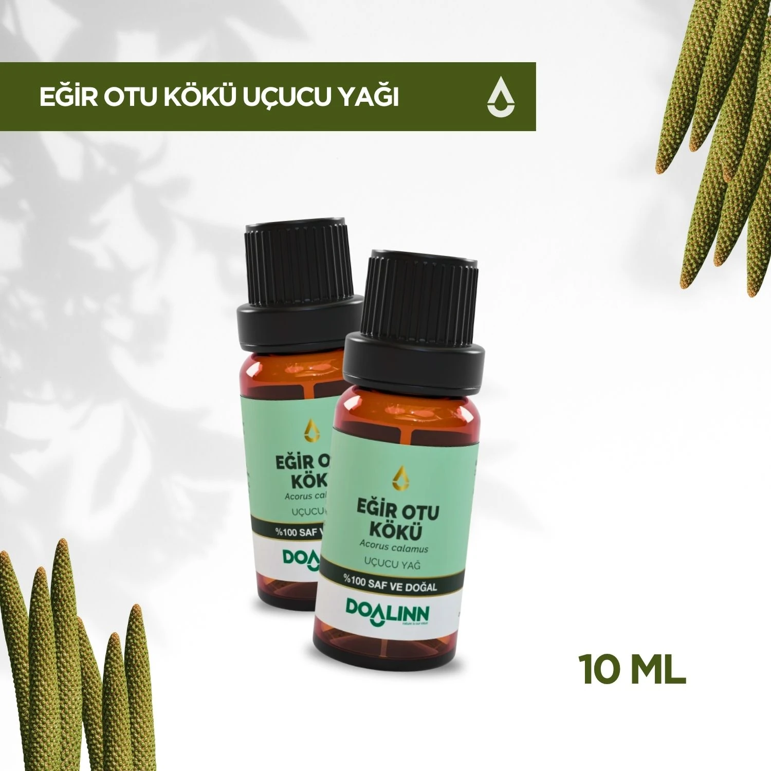 Eğir Otu Kökü Uçucu Yağı (Acorus calamus) 10 ml.