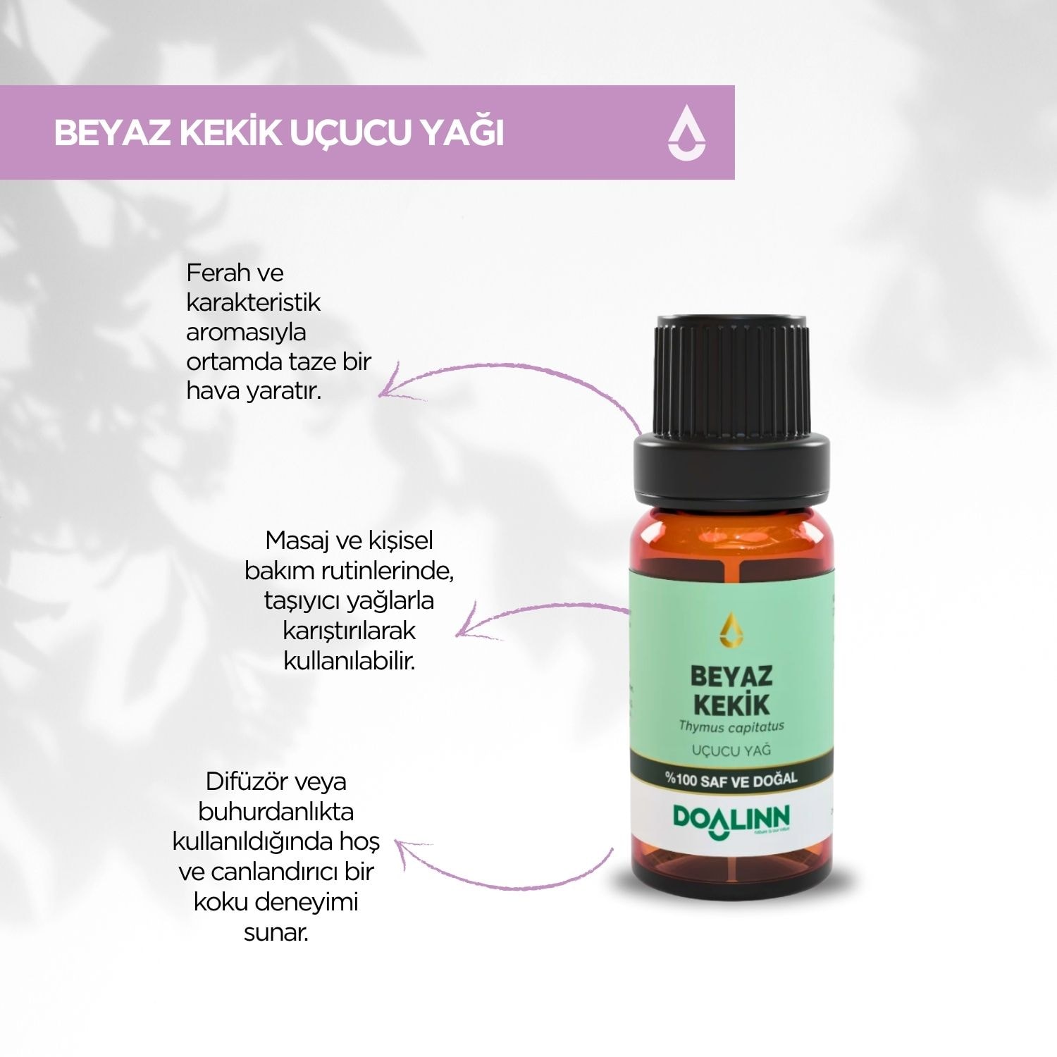 Beyaz Kekik Uçucu Yağı (Thymus capitatus) 10 ml.