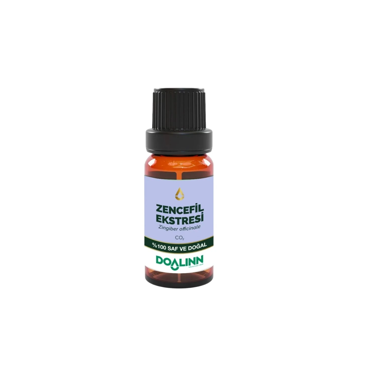 Zencefil Ekstresi 10 ml. (Zingiber officinale)