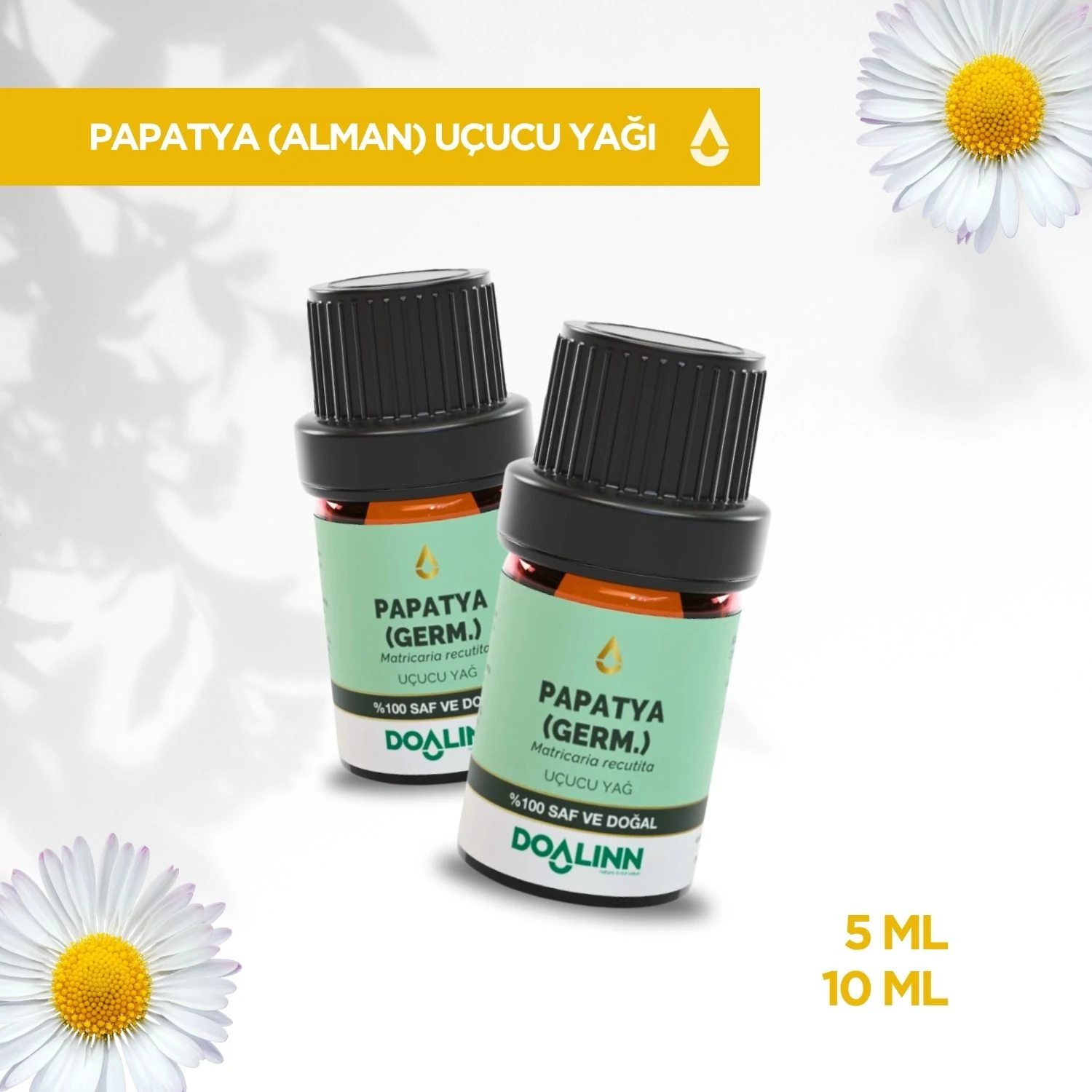 Papatya (Alman) Uçucu Yağı (Matricaria recutita)