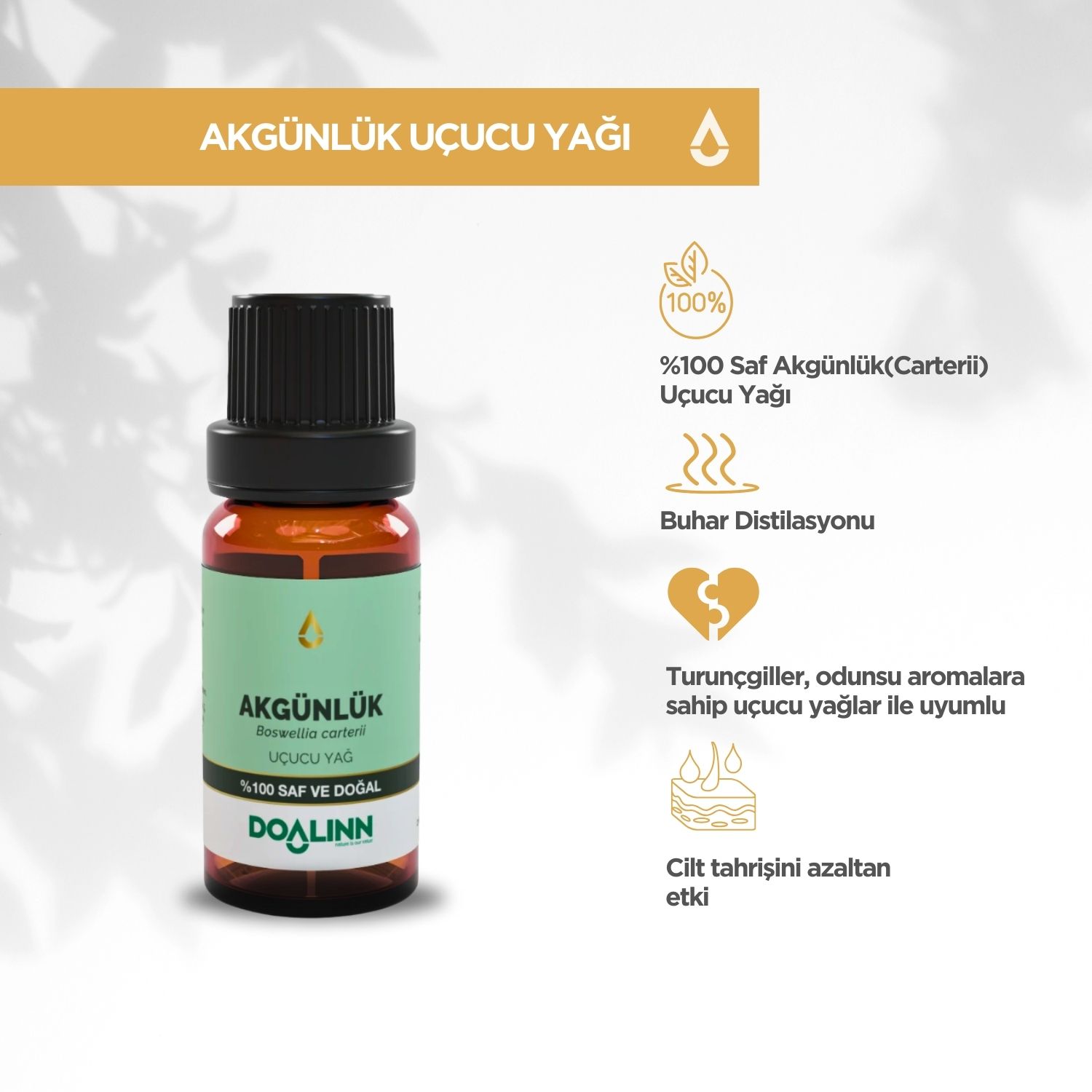 Akgünlük Uçucu Yağı (Boswellia carterii) 10 ml.