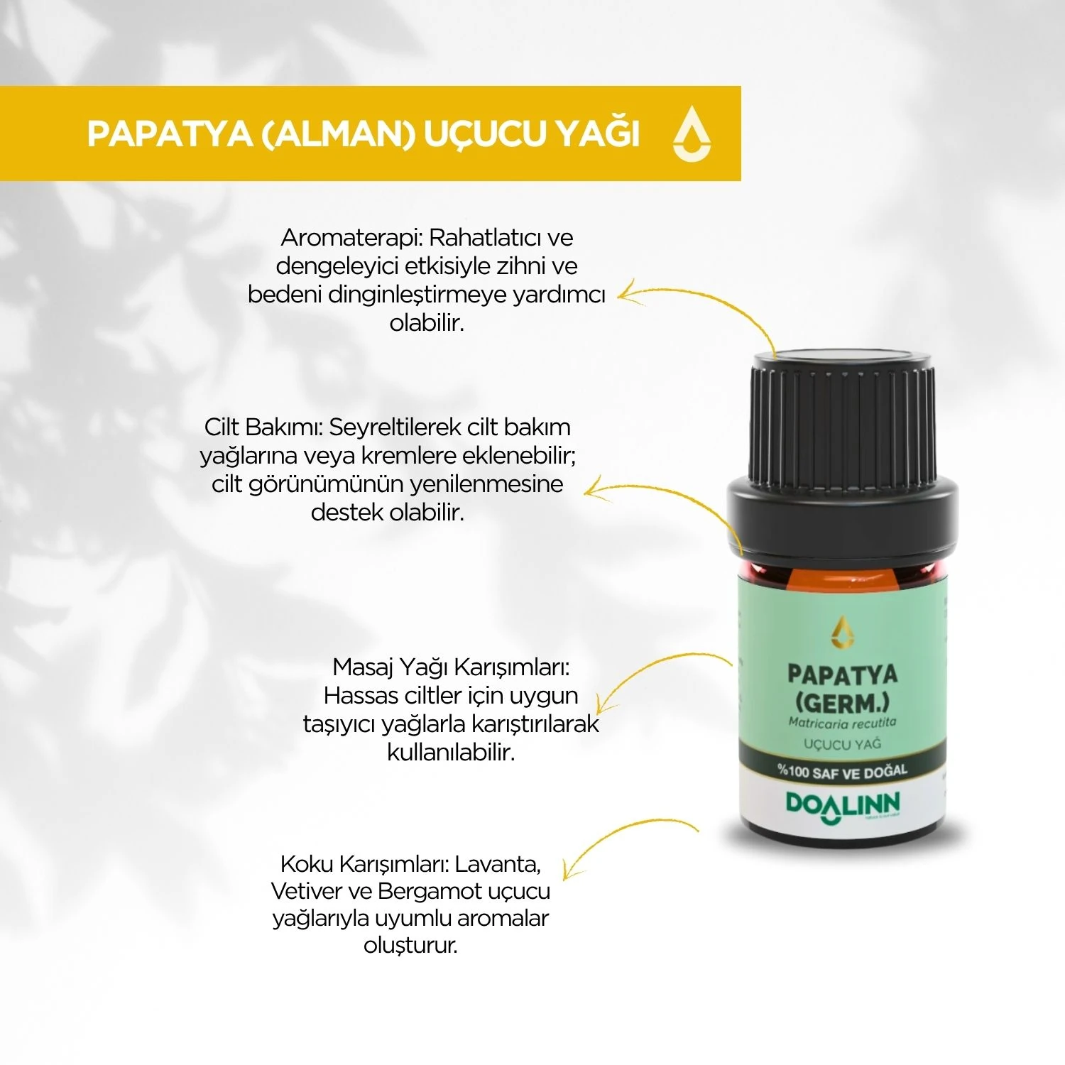 Papatya (Alman) Uçucu Yağı (Matricaria recutita)