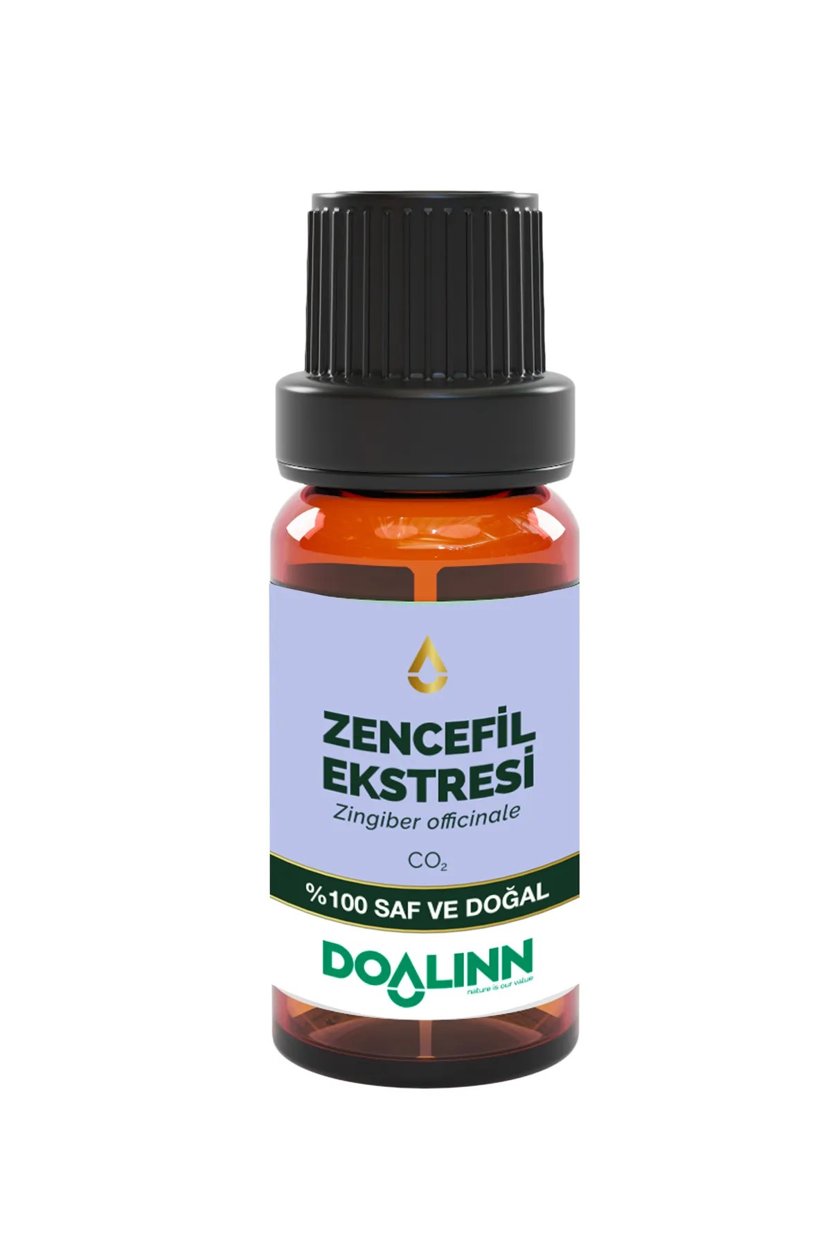 Zencefil Ekstresi 10 ml. (Zingiber officinale)