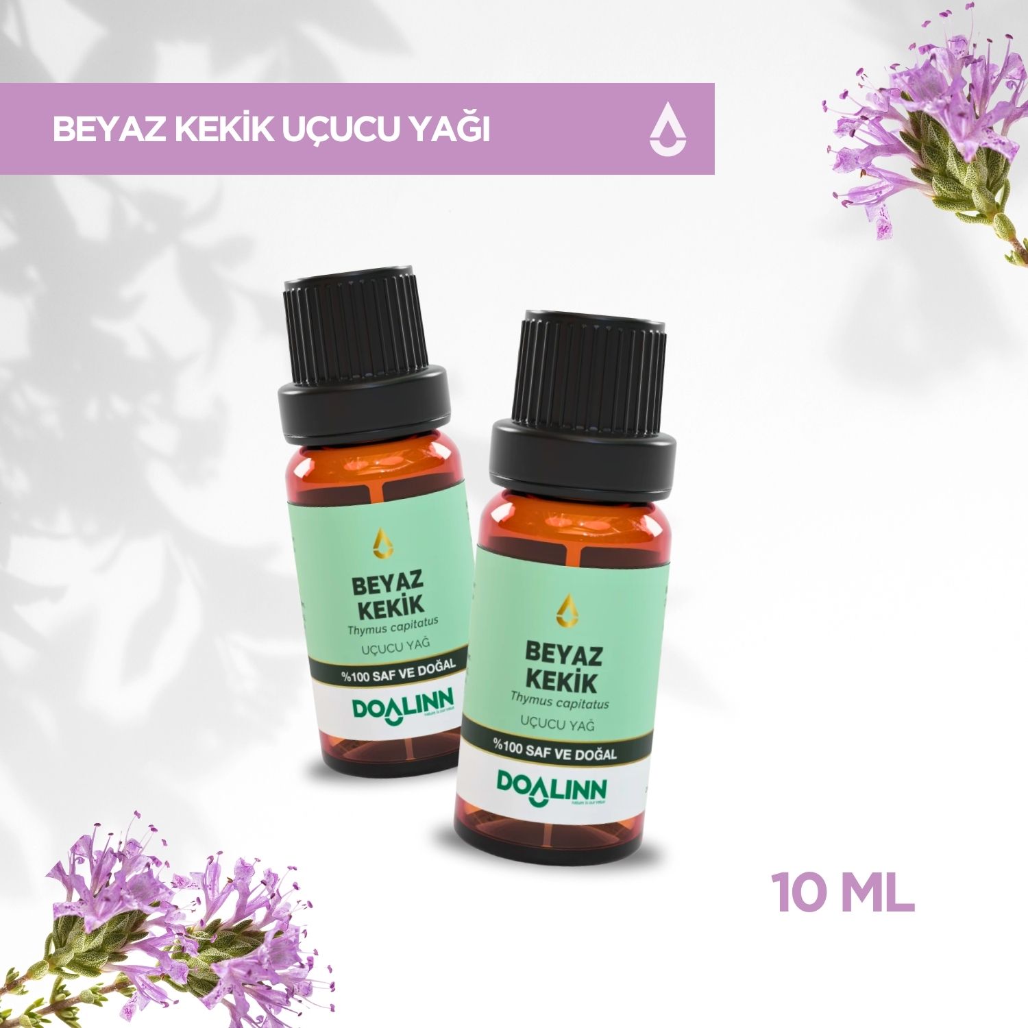 Beyaz Kekik Uçucu Yağı (Thymus capitatus) 10 ml.