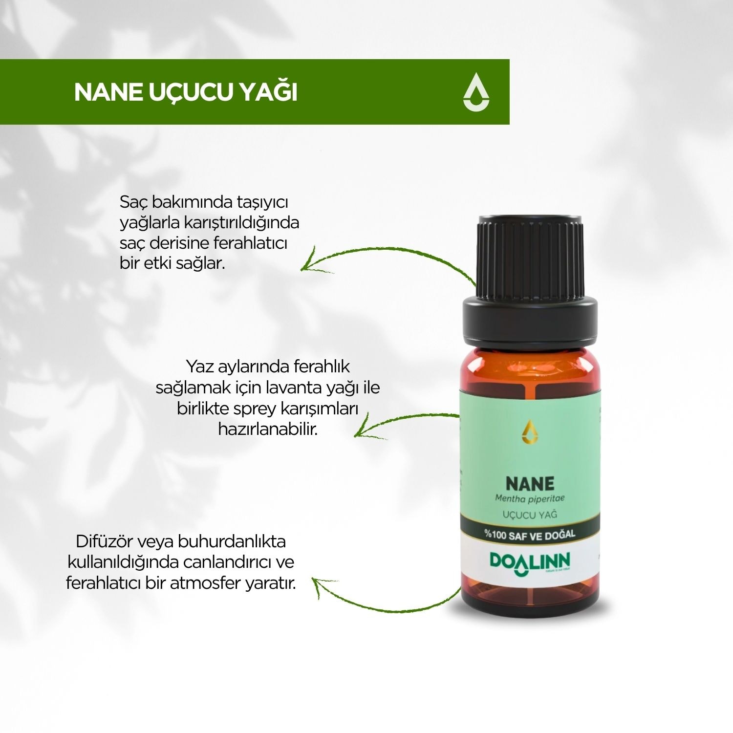 Nane Uçucu Yağı (Mentha x piperitae) 10 ml.